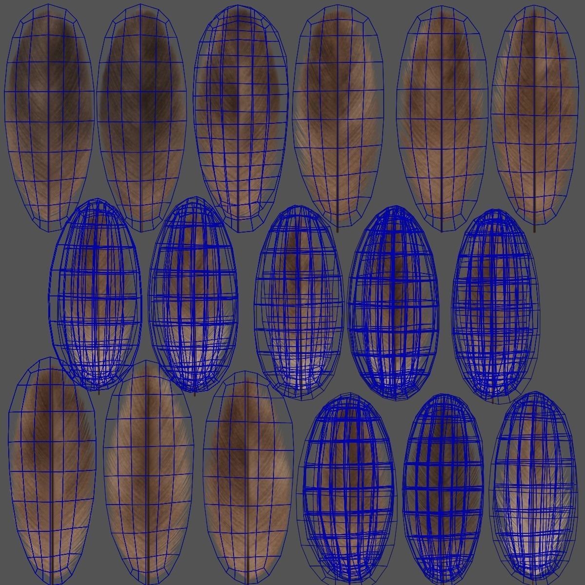 Aquila Nipalensis - Rigged Animated 3D Model - View 45