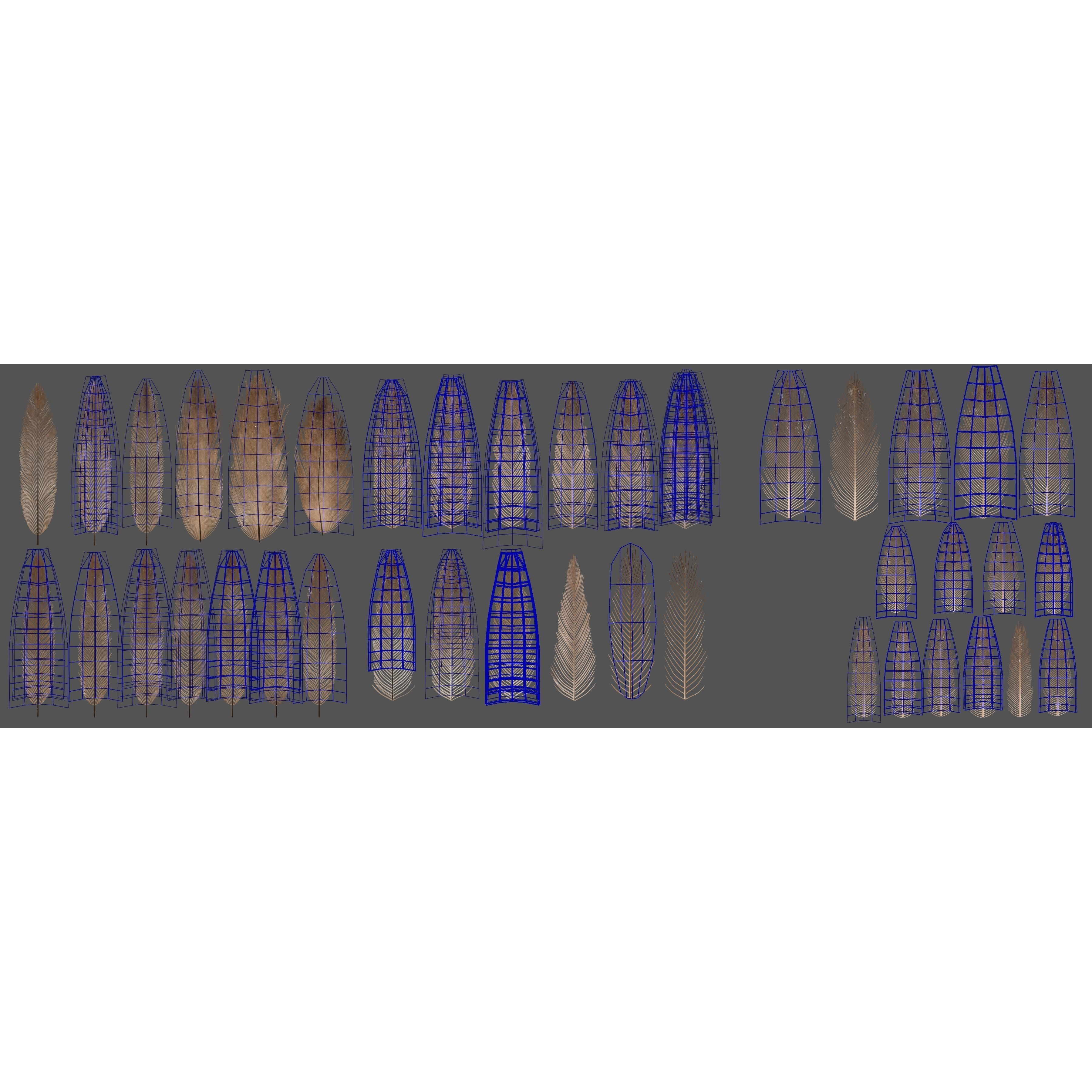 Aquila Nipalensis - Rigged Animated 3D Model - View 46