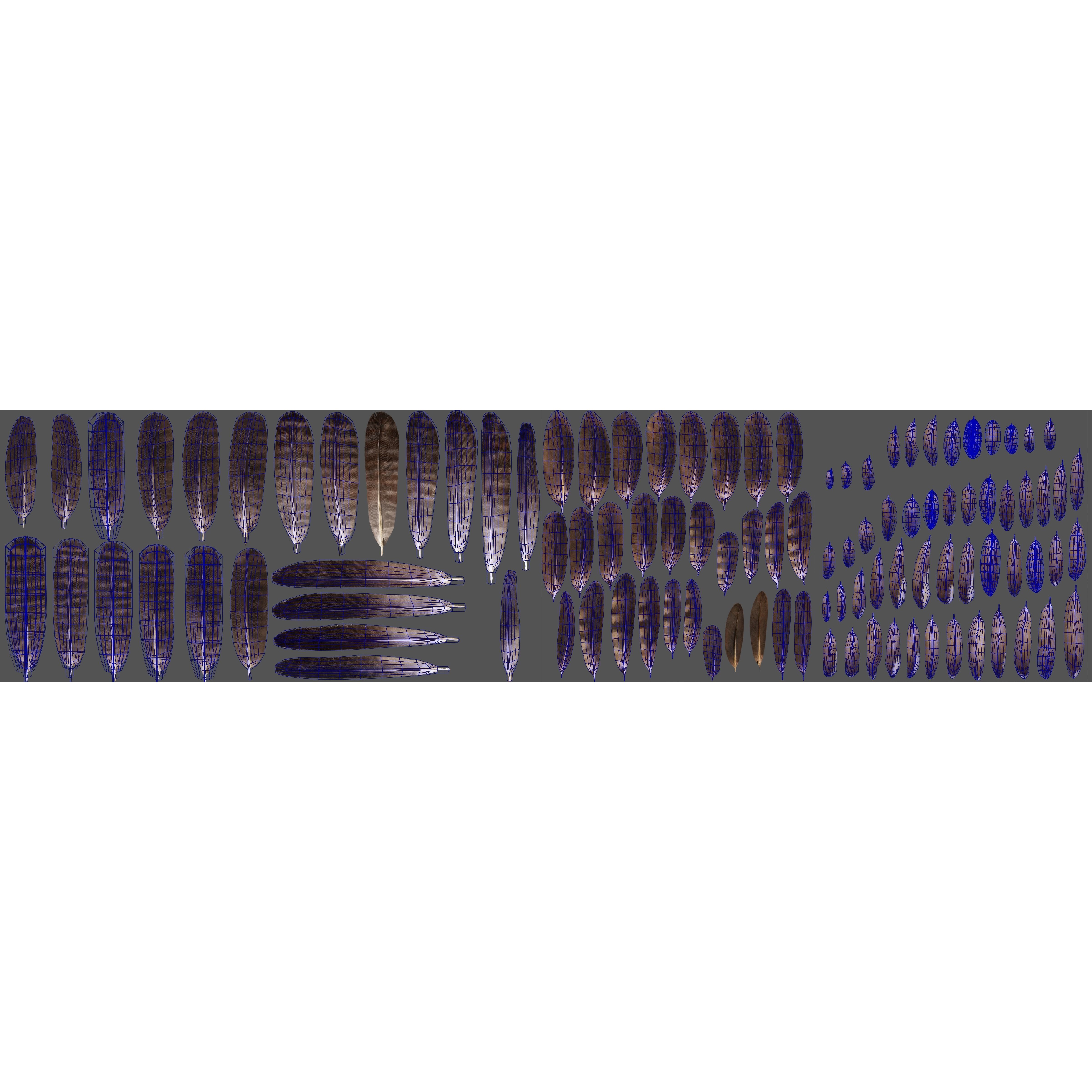 Aquila Nipalensis - Rigged Animated 3D Model - View 47