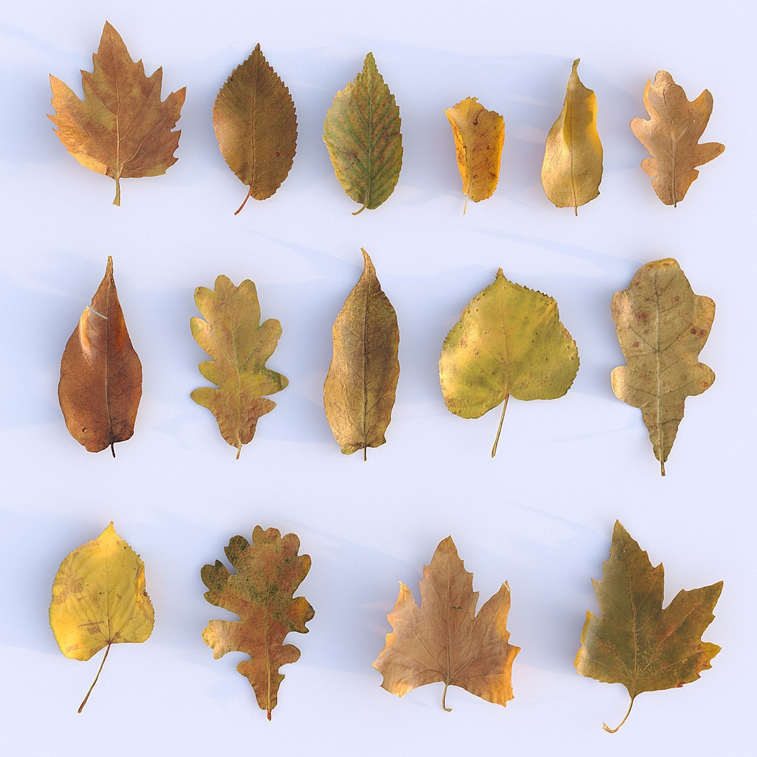 Wet Road 3D Model – PBR Textured Autumn Scene, FBX - View 11