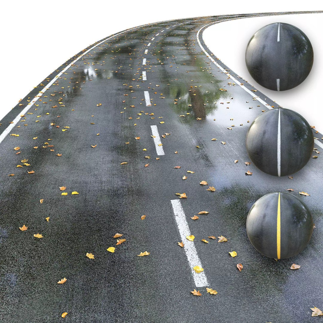 Wet Road 3D Model – PBR Textured Autumn Scene, FBX - View 2