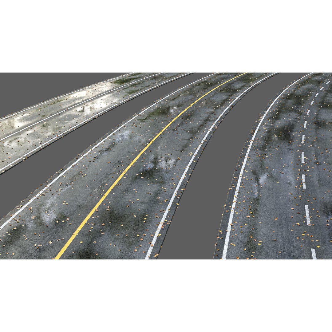 Wet Road 3D Model – PBR Textured Autumn Scene, FBX - View 3