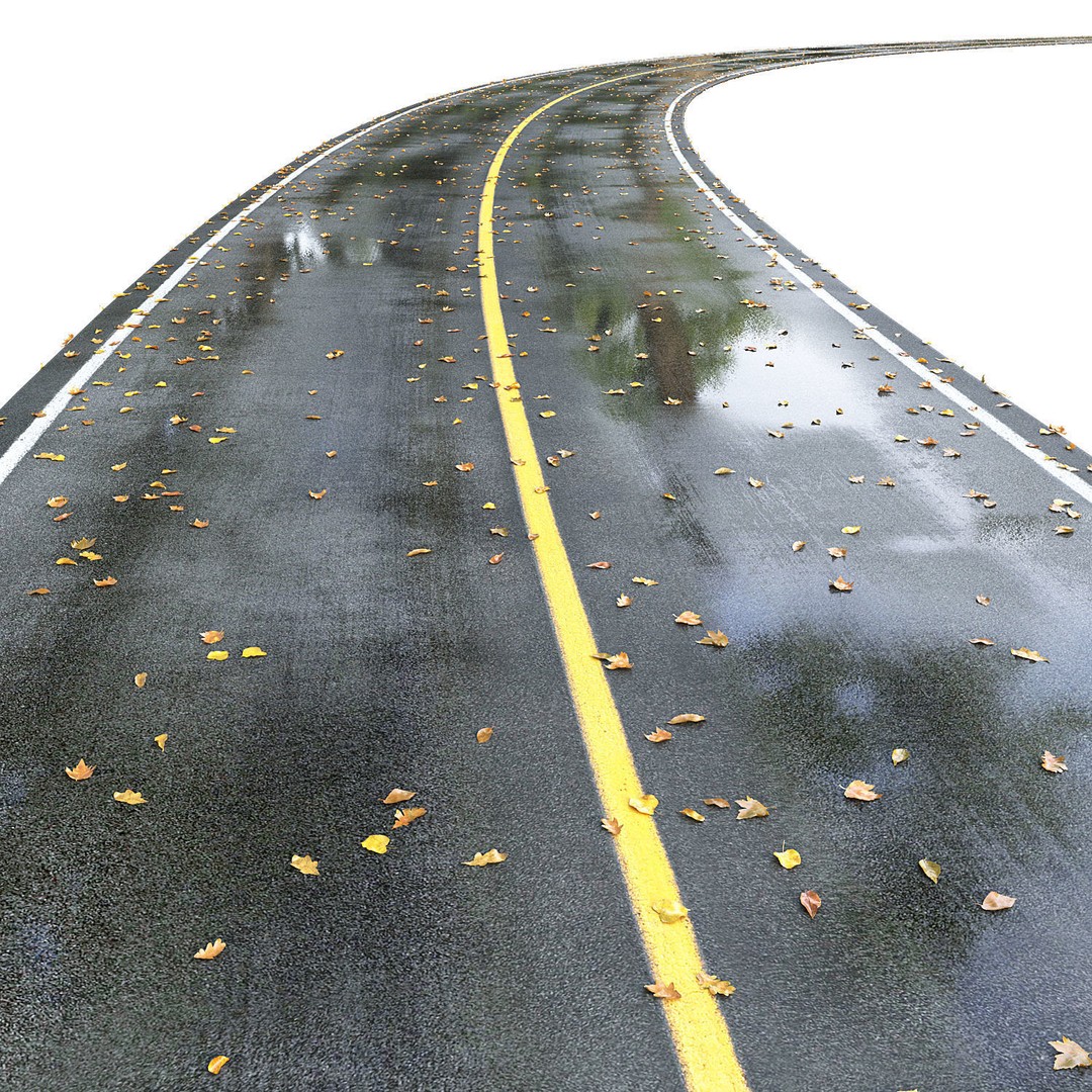 Wet Road 3D Model – PBR Textured Autumn Scene, FBX - View 4