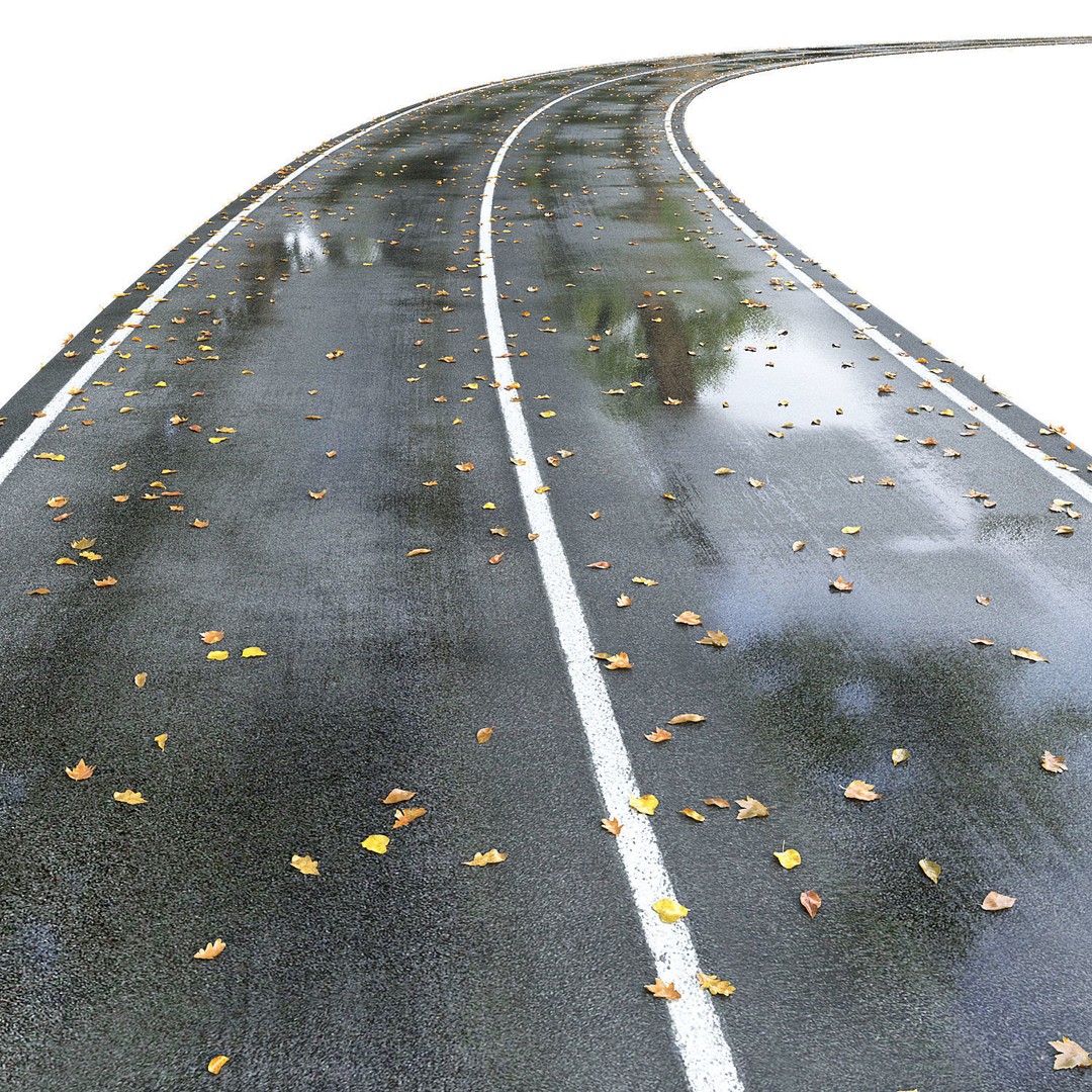 Wet Road 3D Model – PBR Textured Autumn Scene, FBX - View 5
