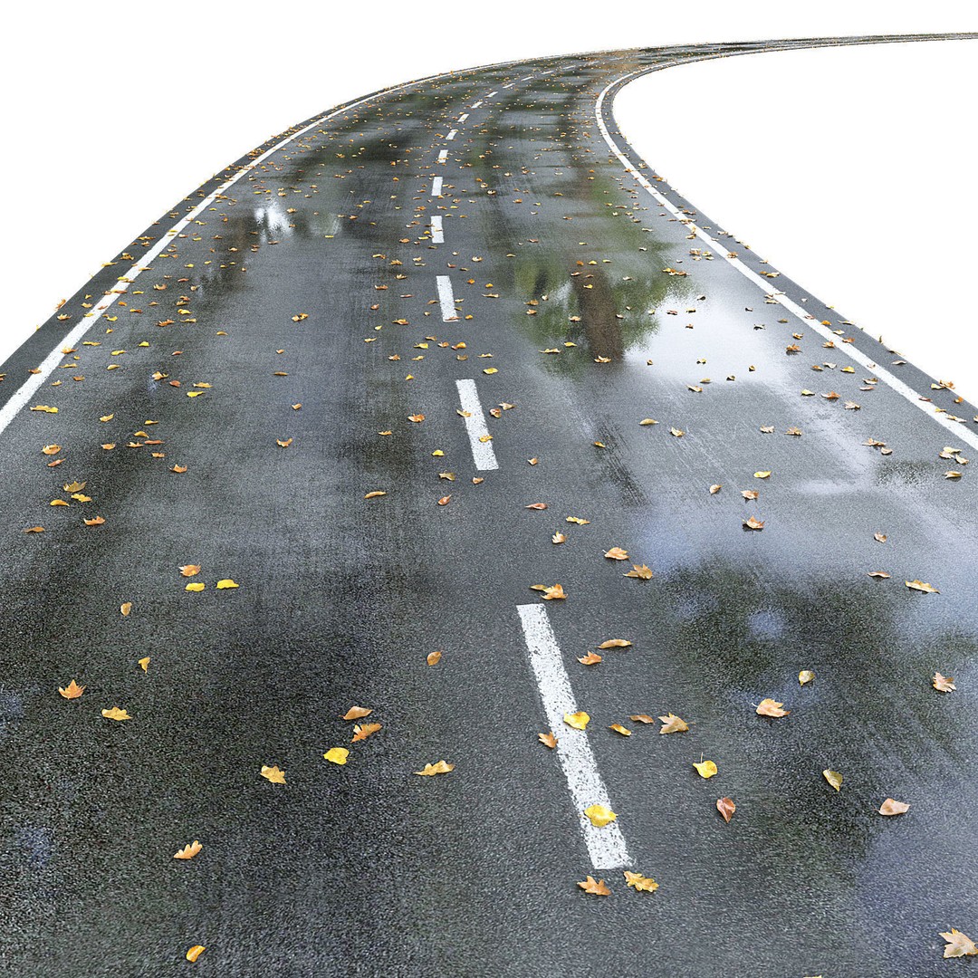 Wet Road 3D Model – PBR Textured Autumn Scene, FBX - View 6