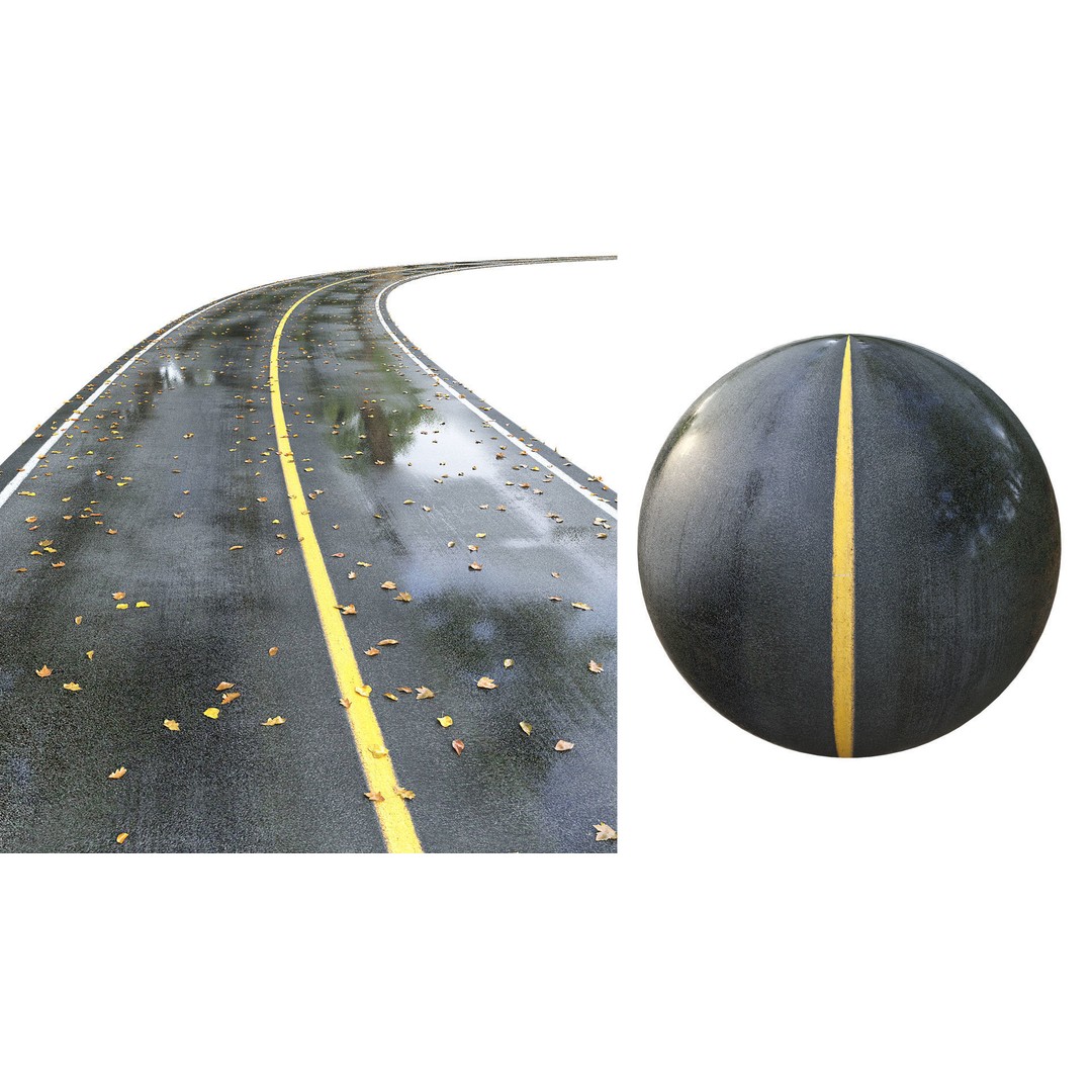 Wet Road 3D Model – PBR Textured Autumn Scene, FBX - View 7