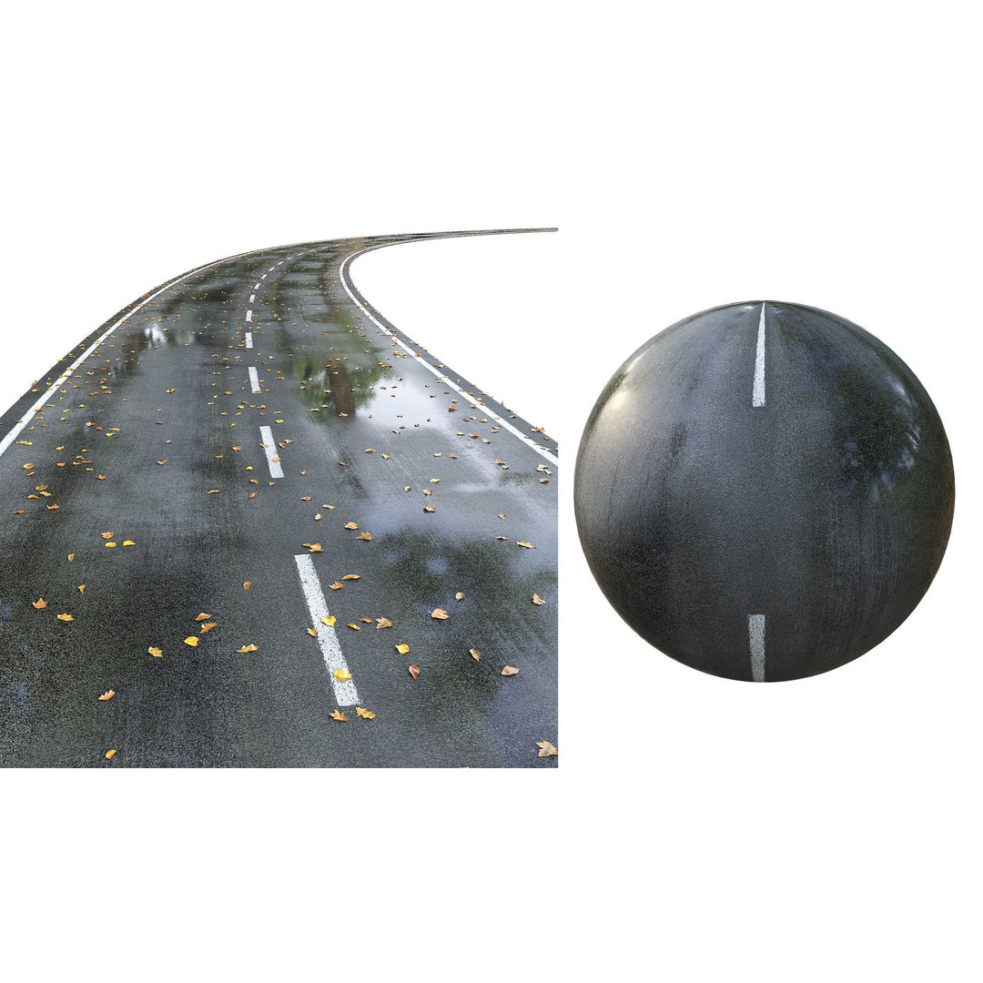 Wet Road 3D Model – PBR Textured Autumn Scene, FBX - View 8