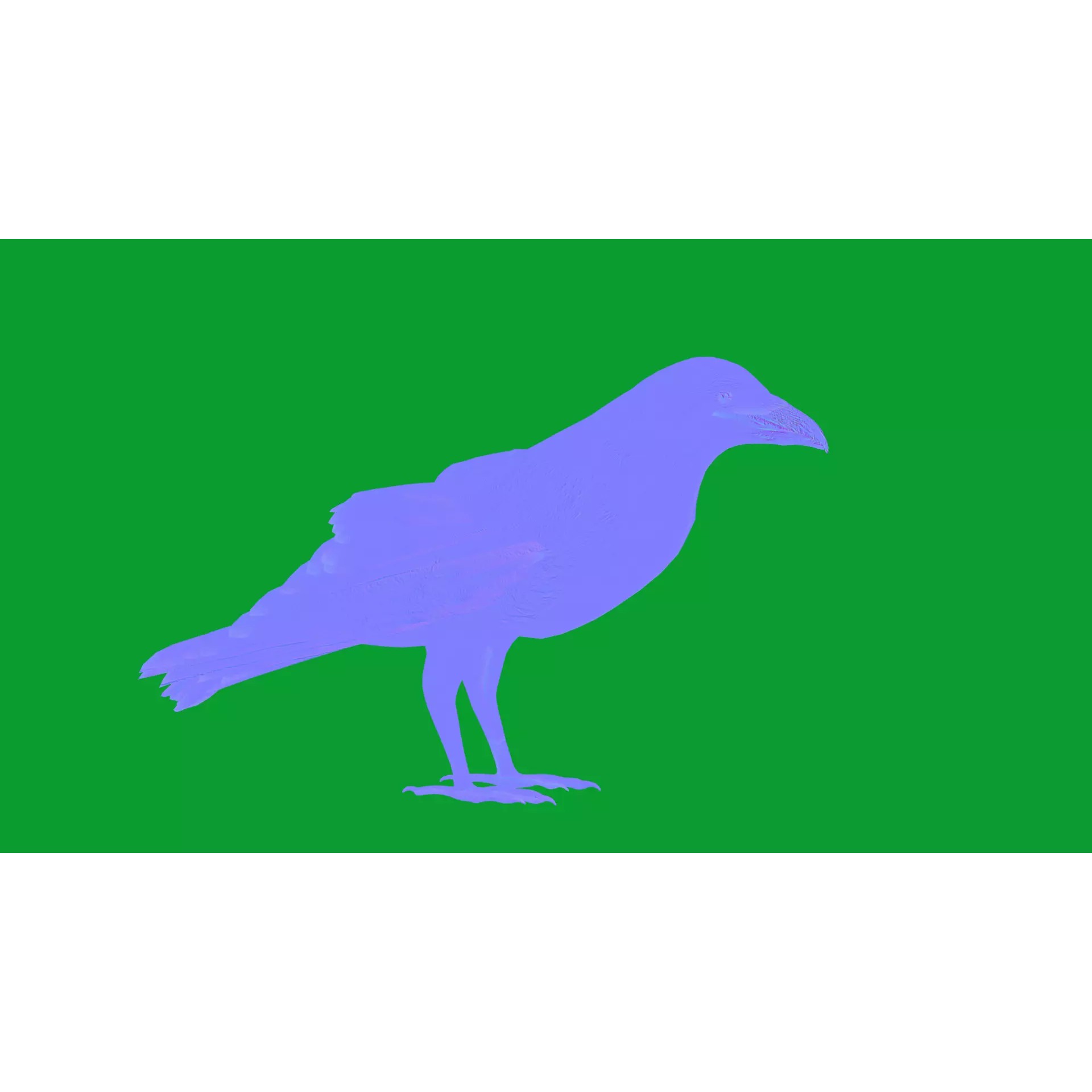 European Common Raven - Low-Poly Game-Ready 3D Model - View 17