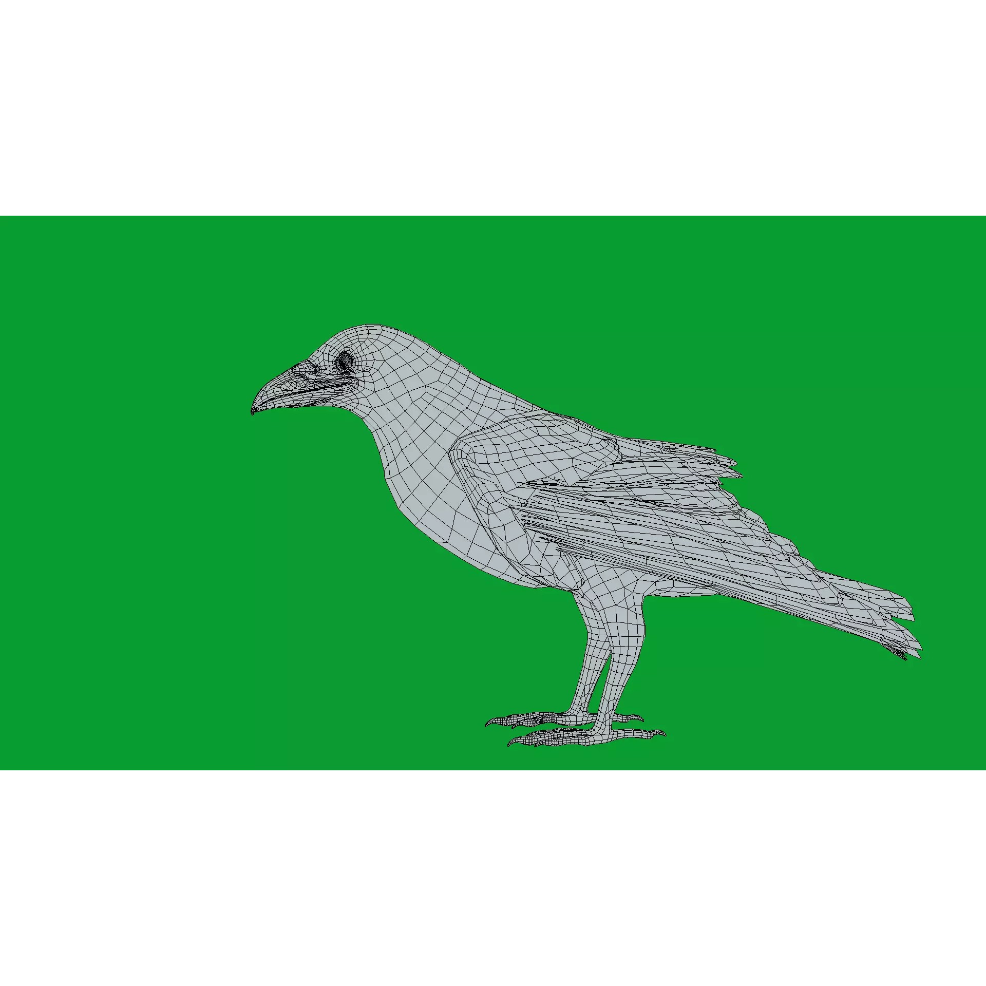 European Common Raven - Low-Poly Game-Ready 3D Model - View 21