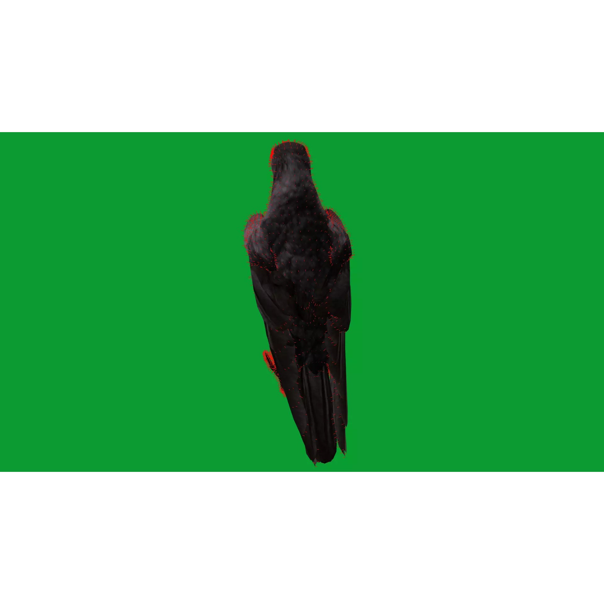 European Common Raven - Low-Poly Game-Ready 3D Model - View 23