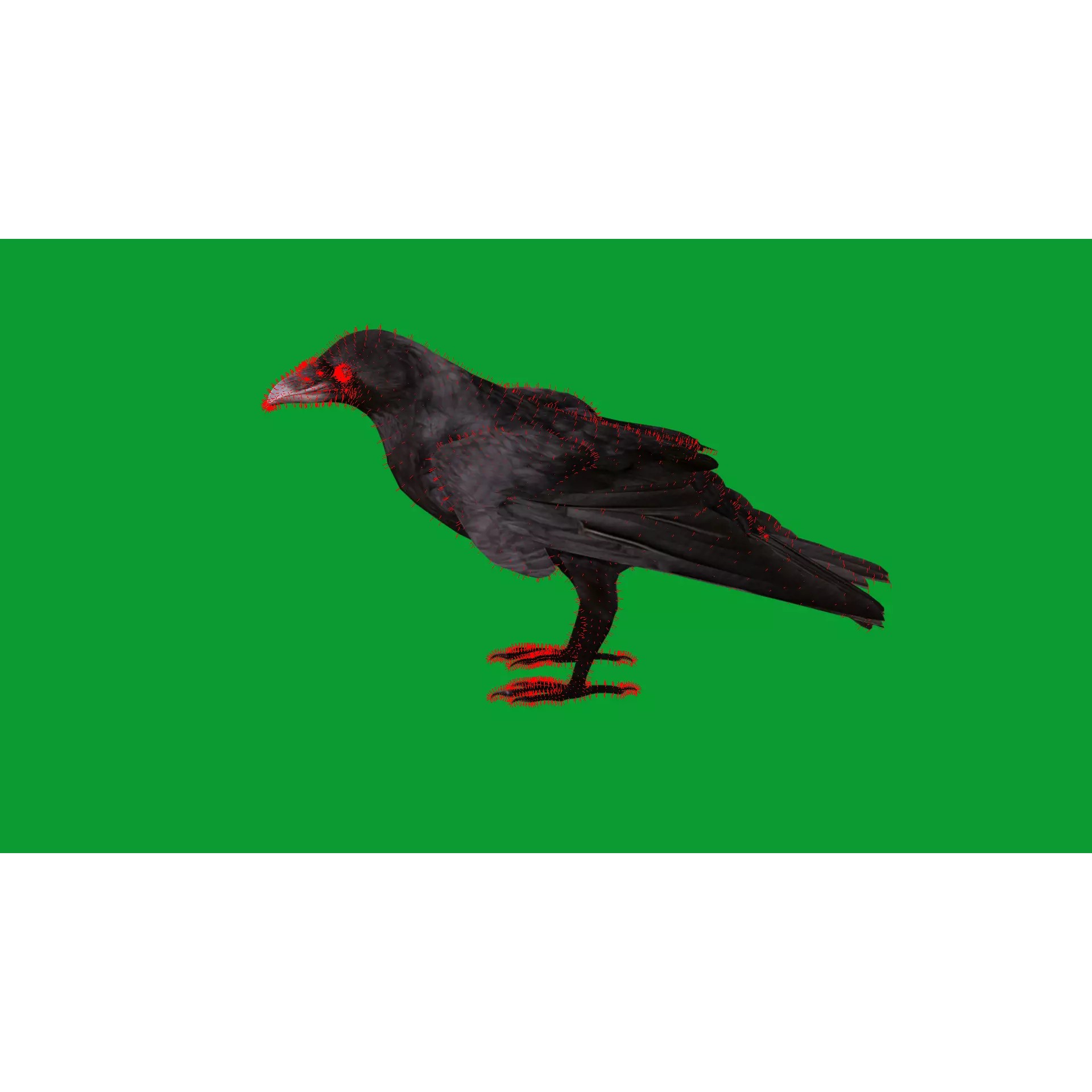 European Common Raven - Low-Poly Game-Ready 3D Model - View 27