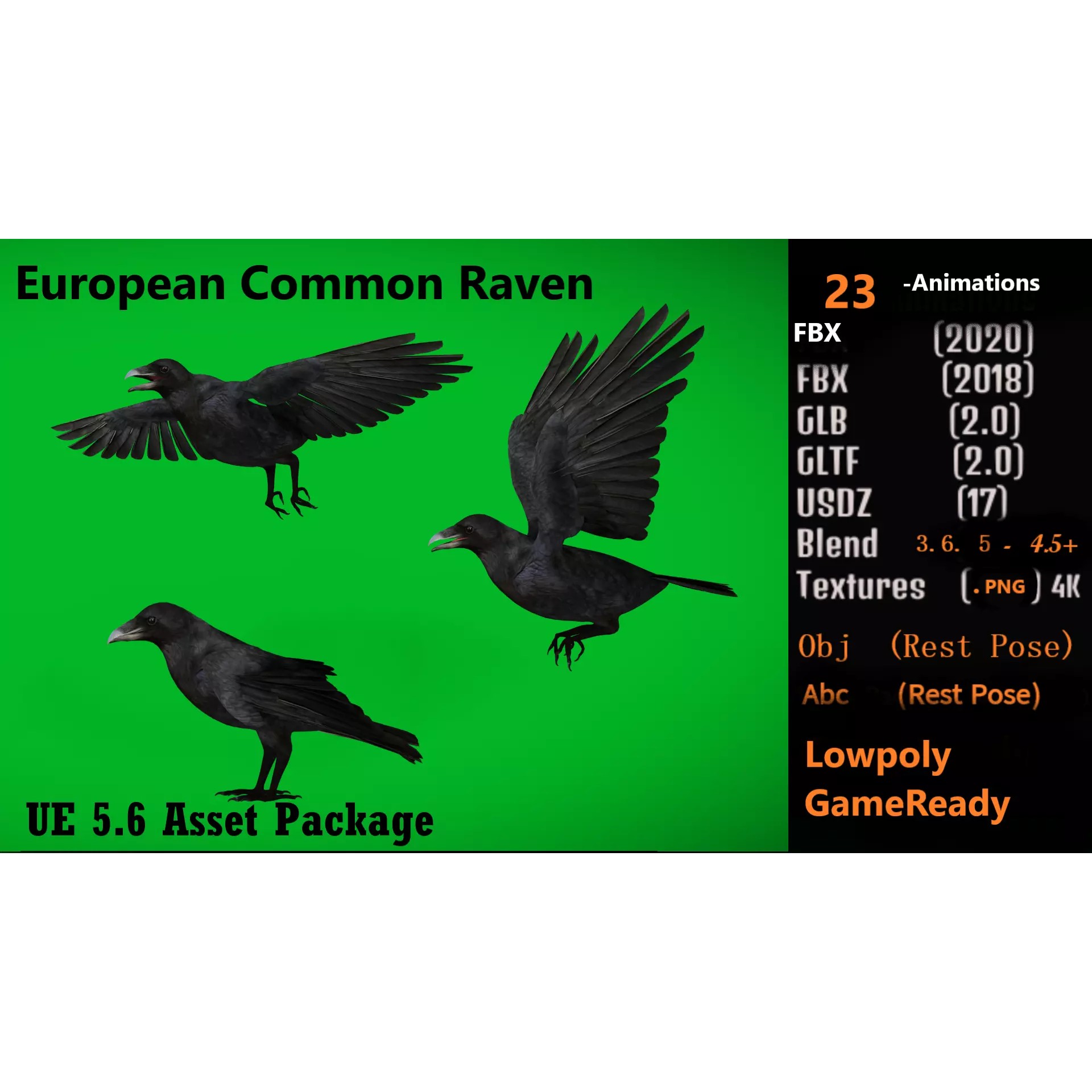 European Common Raven - Low-Poly Game-Ready 3D Model - View 4