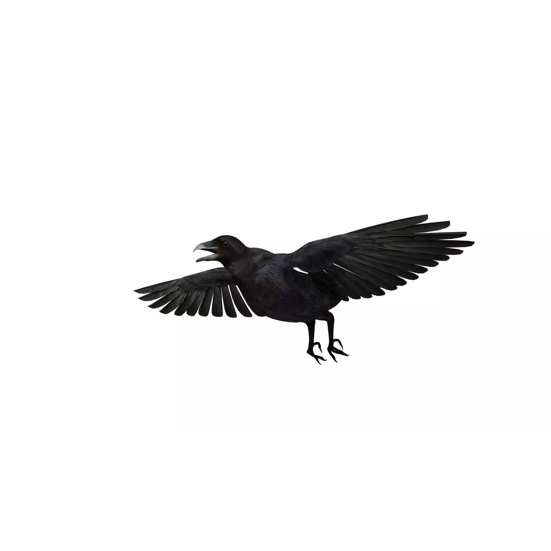 European Common Raven - Low-Poly Game-Ready 3D Model - View 45