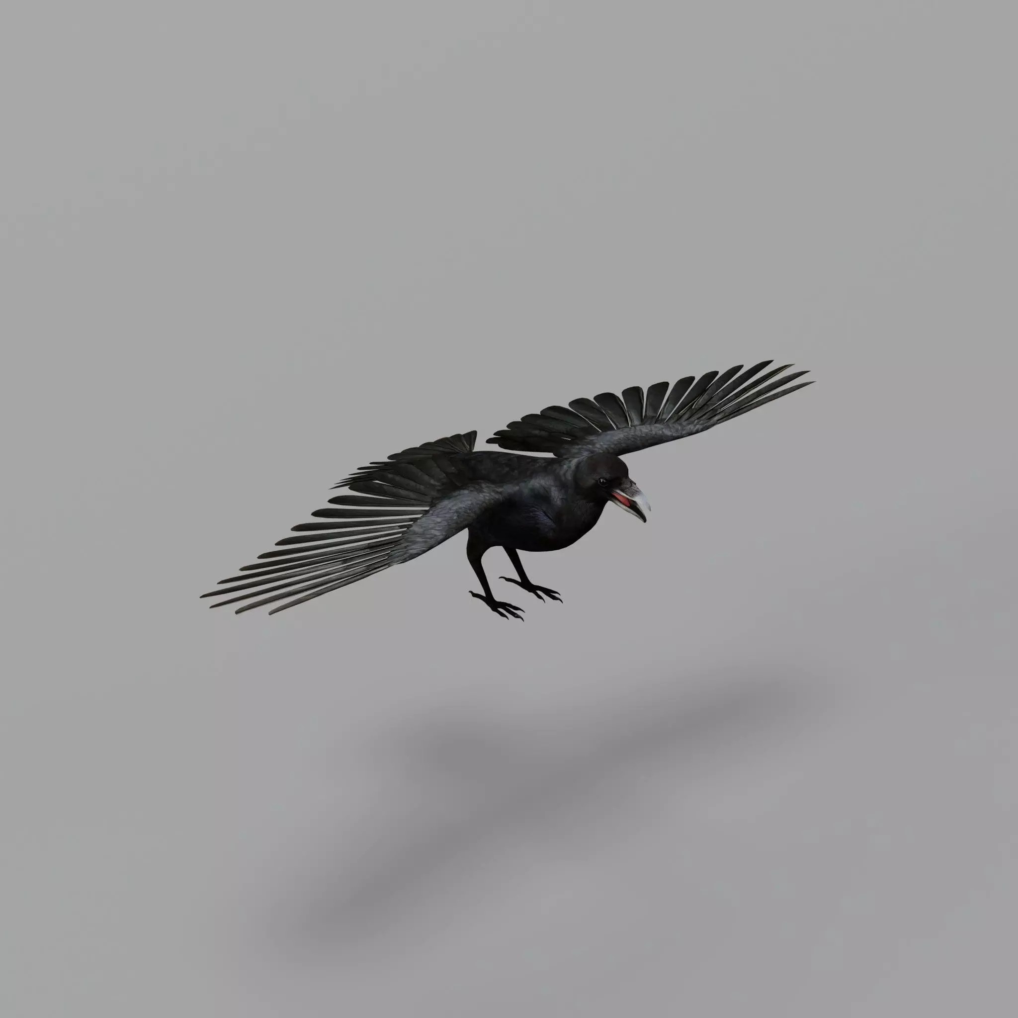 European Common Raven - Low-Poly Game-Ready 3D Model - View 47