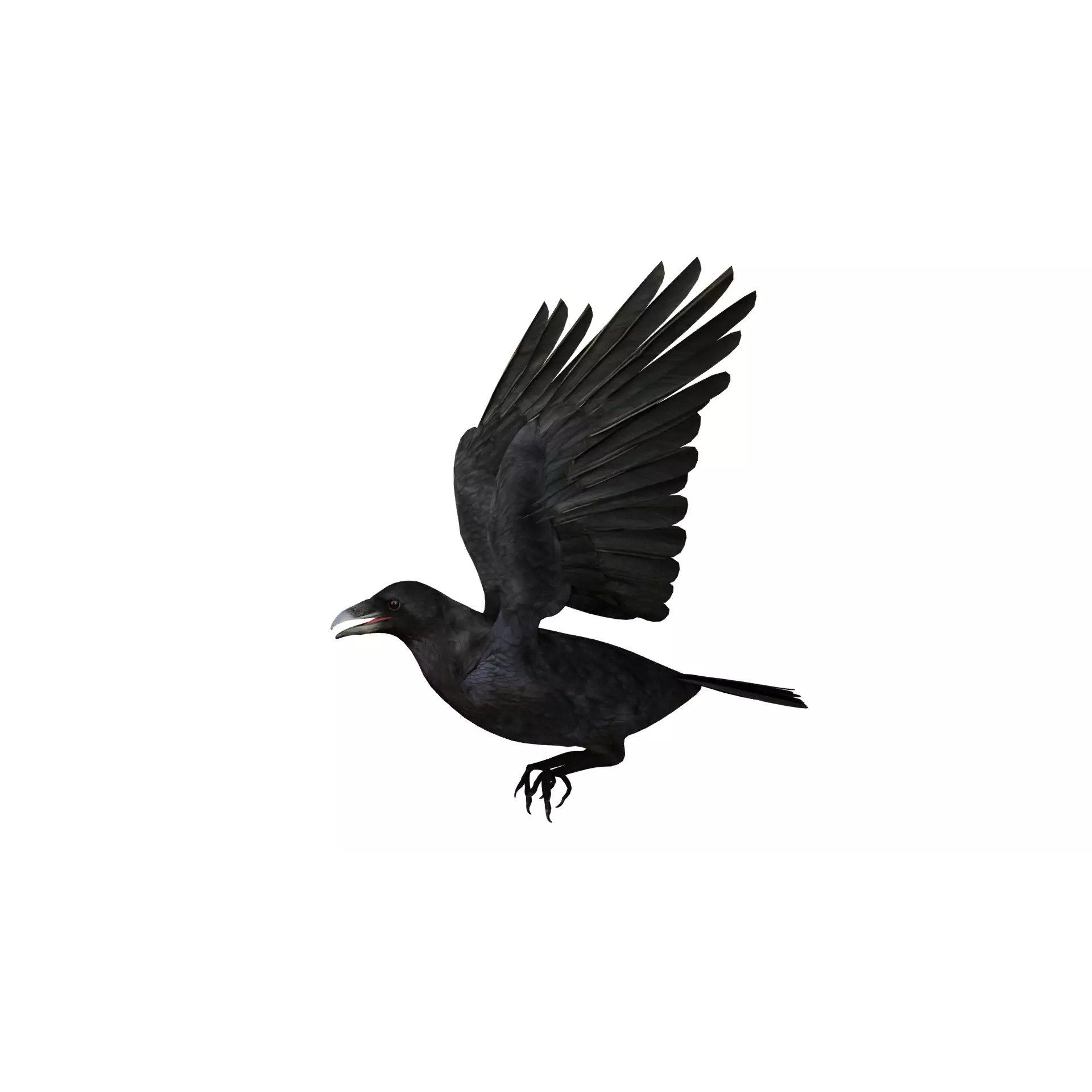 European Common Raven - Low-Poly Game-Ready 3D Model - View 49