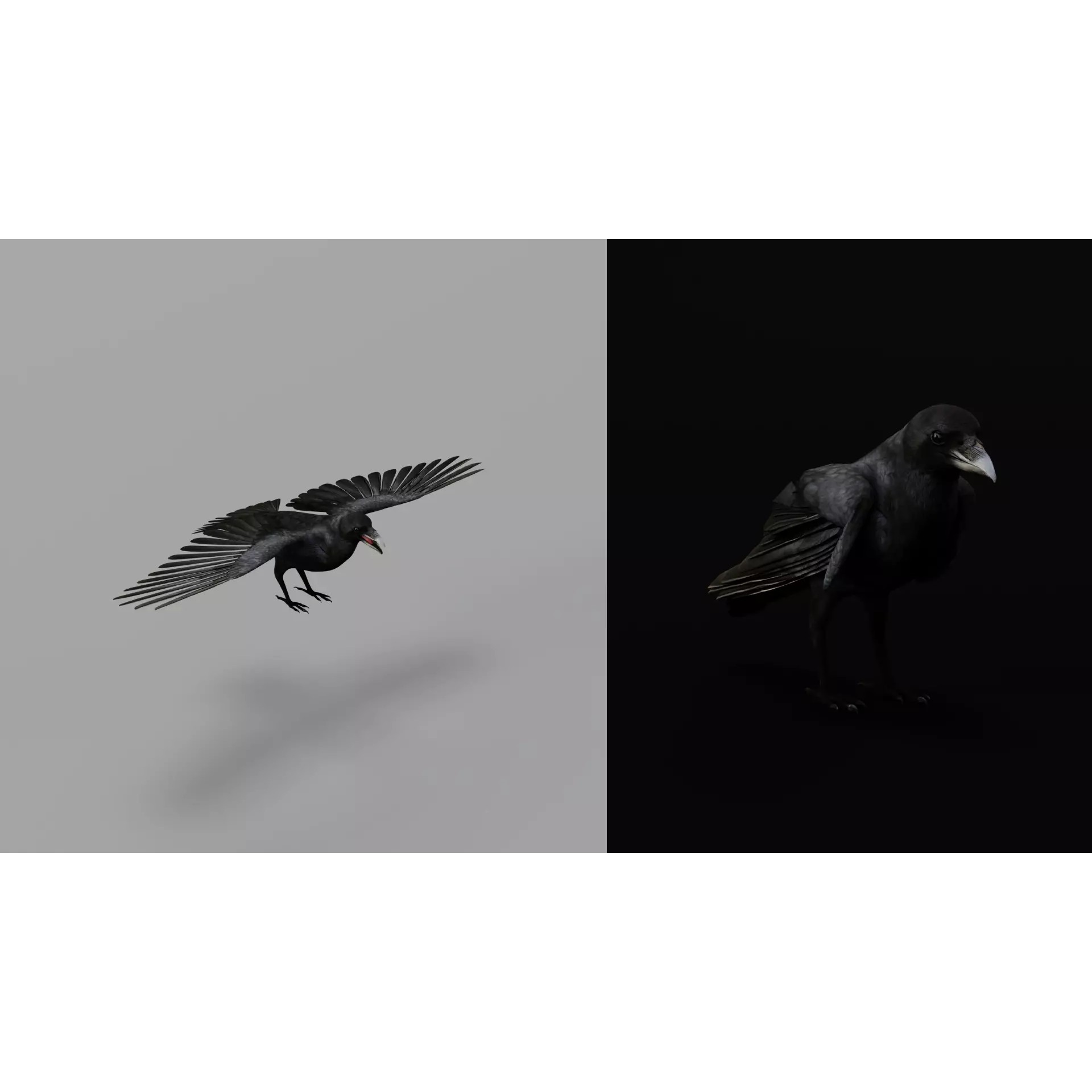 European Common Raven - Low-Poly Game-Ready 3D Model - View 8