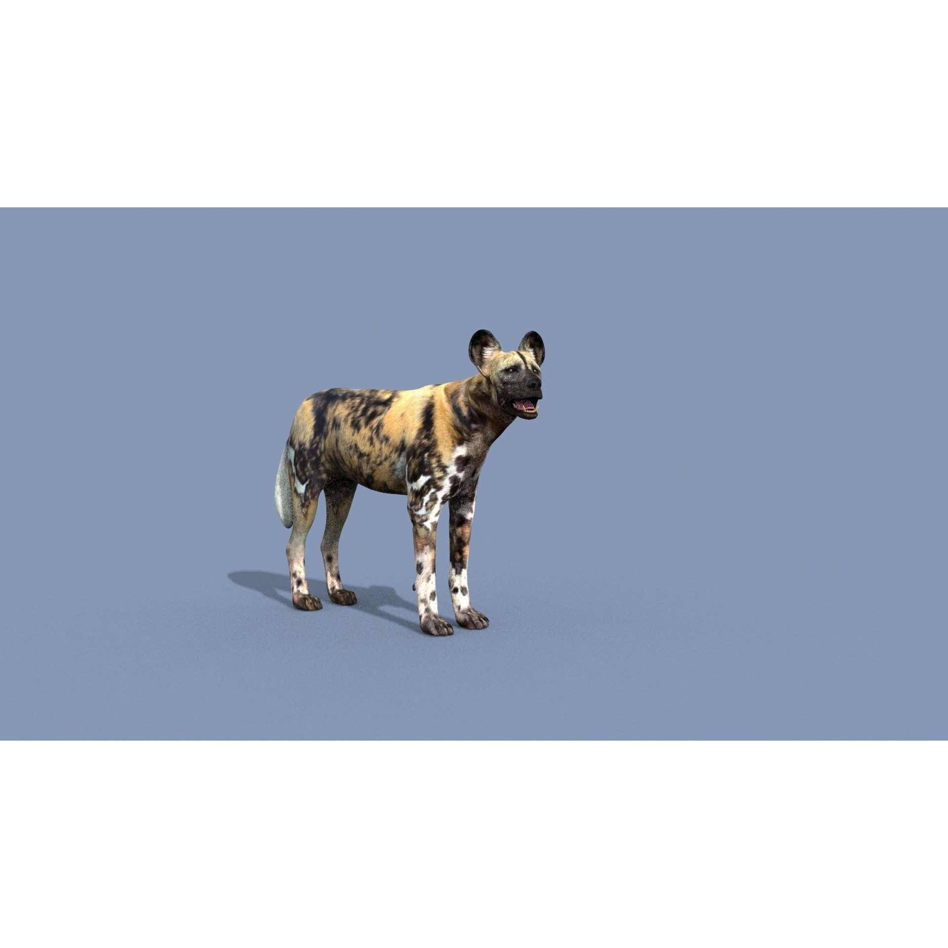 Colossal Animal Pack - Low-Poly Game-Ready 3D Model - View 103