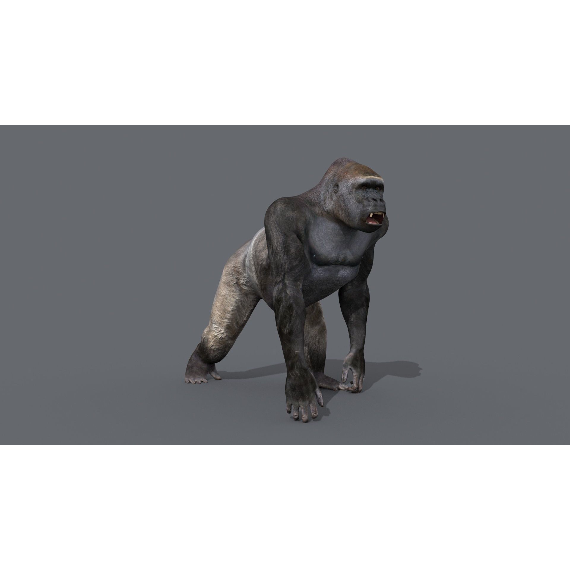 Colossal Animal Pack - Low-Poly Game-Ready 3D Model - View 109