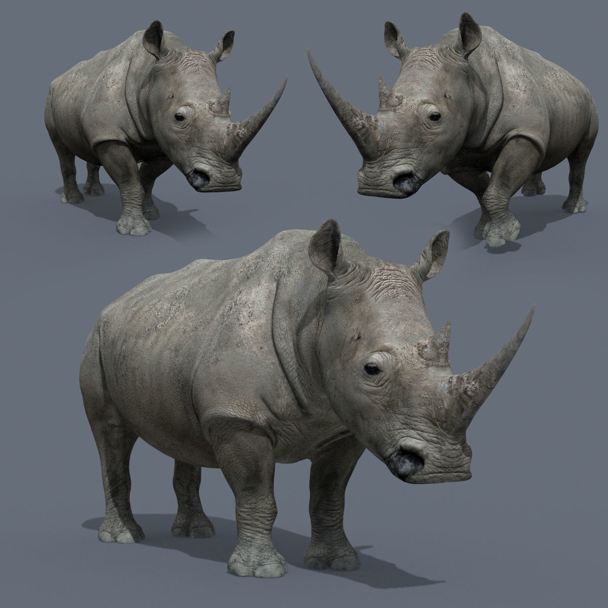 Colossal Animal Pack - Low-Poly Game-Ready 3D Model - View 11
