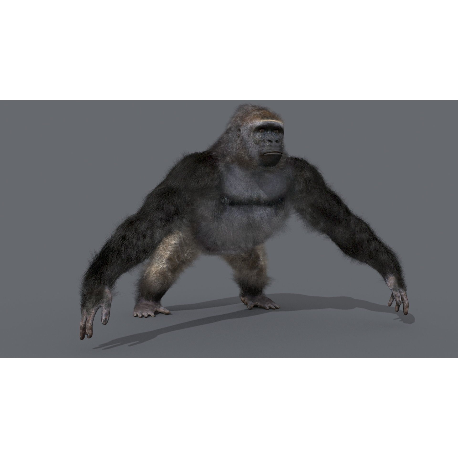 Colossal Animal Pack - Low-Poly Game-Ready 3D Model - View 110