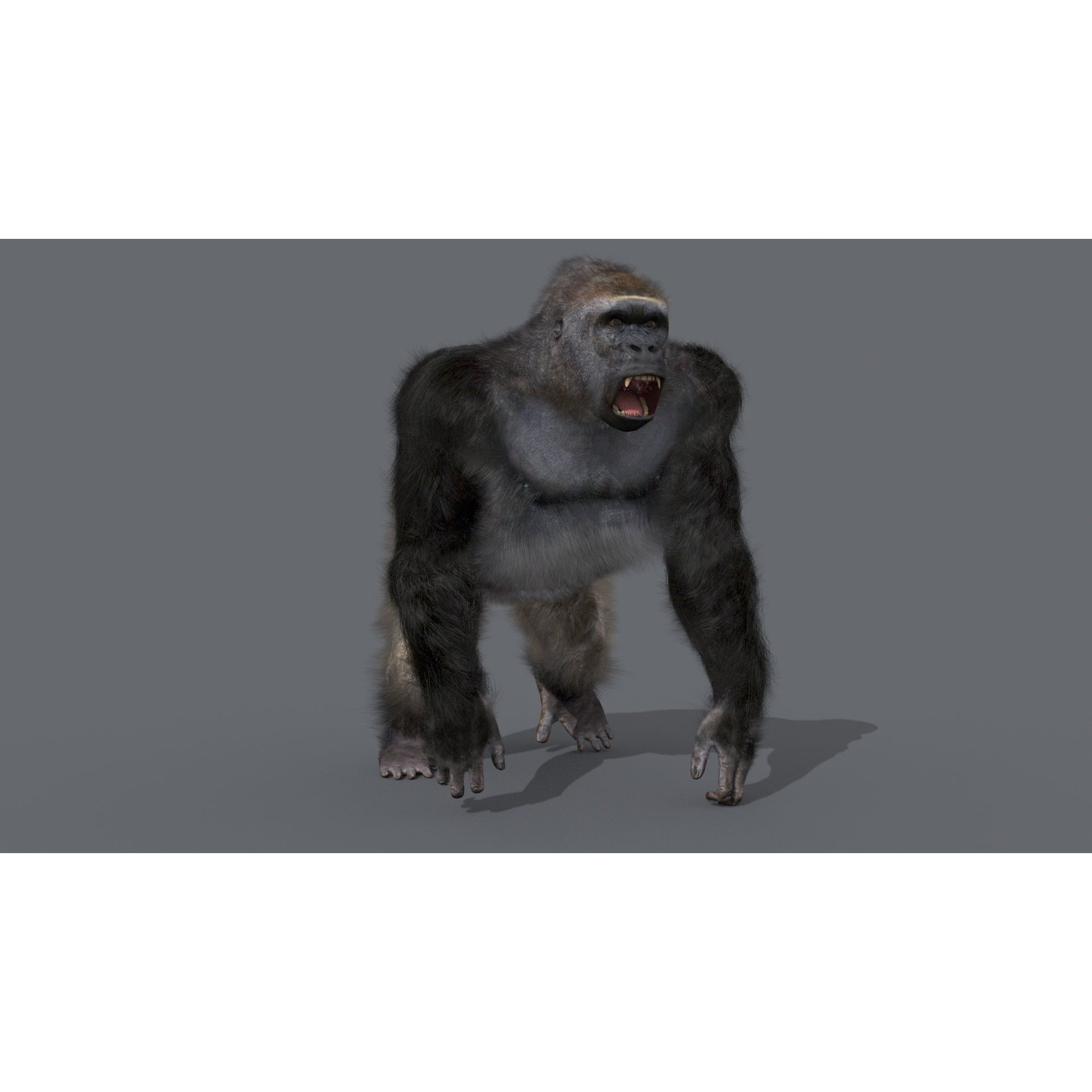 Colossal Animal Pack - Low-Poly Game-Ready 3D Model - View 111