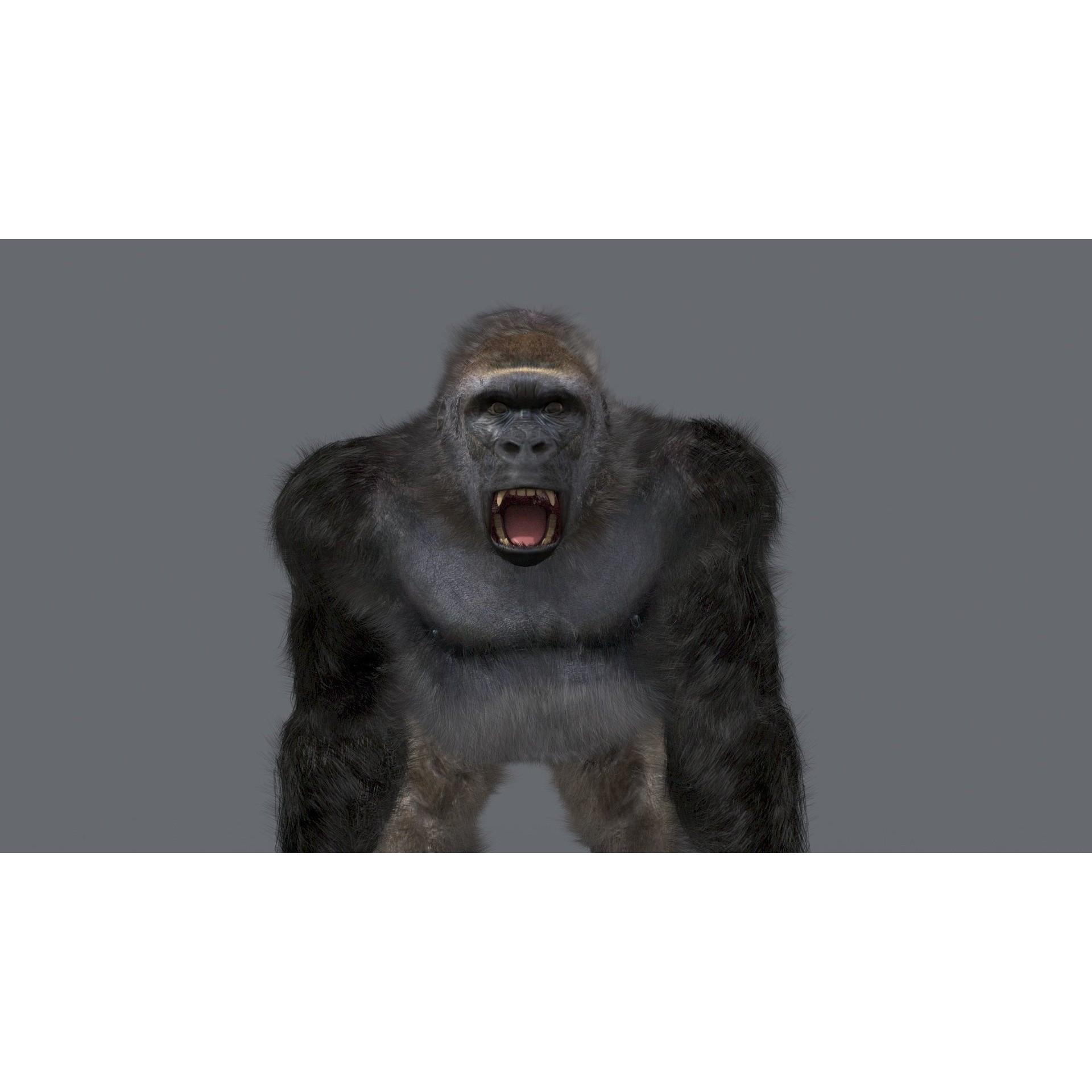 Colossal Animal Pack - Low-Poly Game-Ready 3D Model - View 112