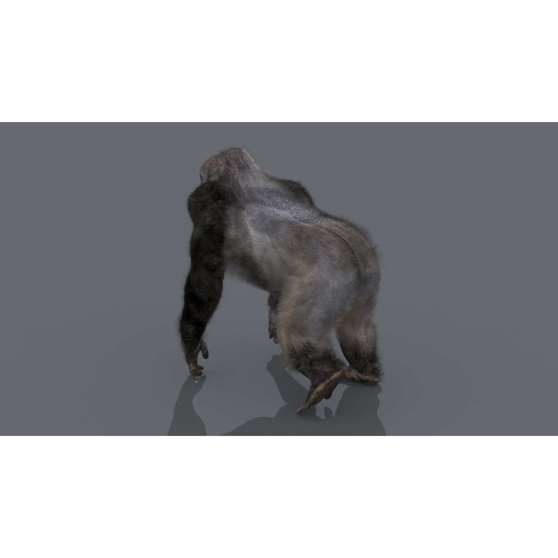 Colossal Animal Pack - Low-Poly Game-Ready 3D Model - View 114