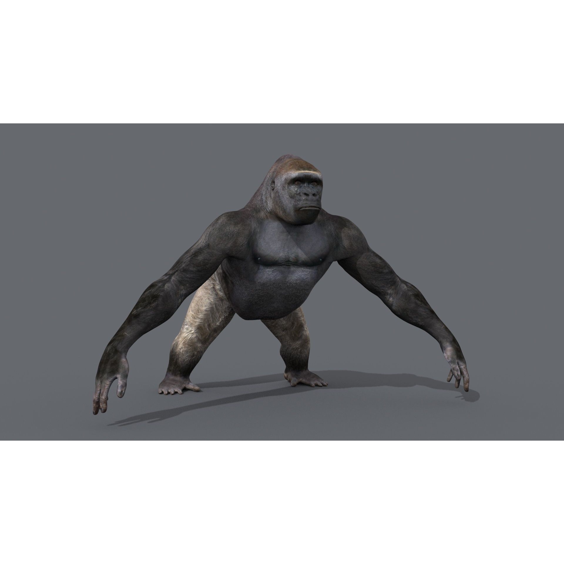 Colossal Animal Pack - Low-Poly Game-Ready 3D Model - View 116