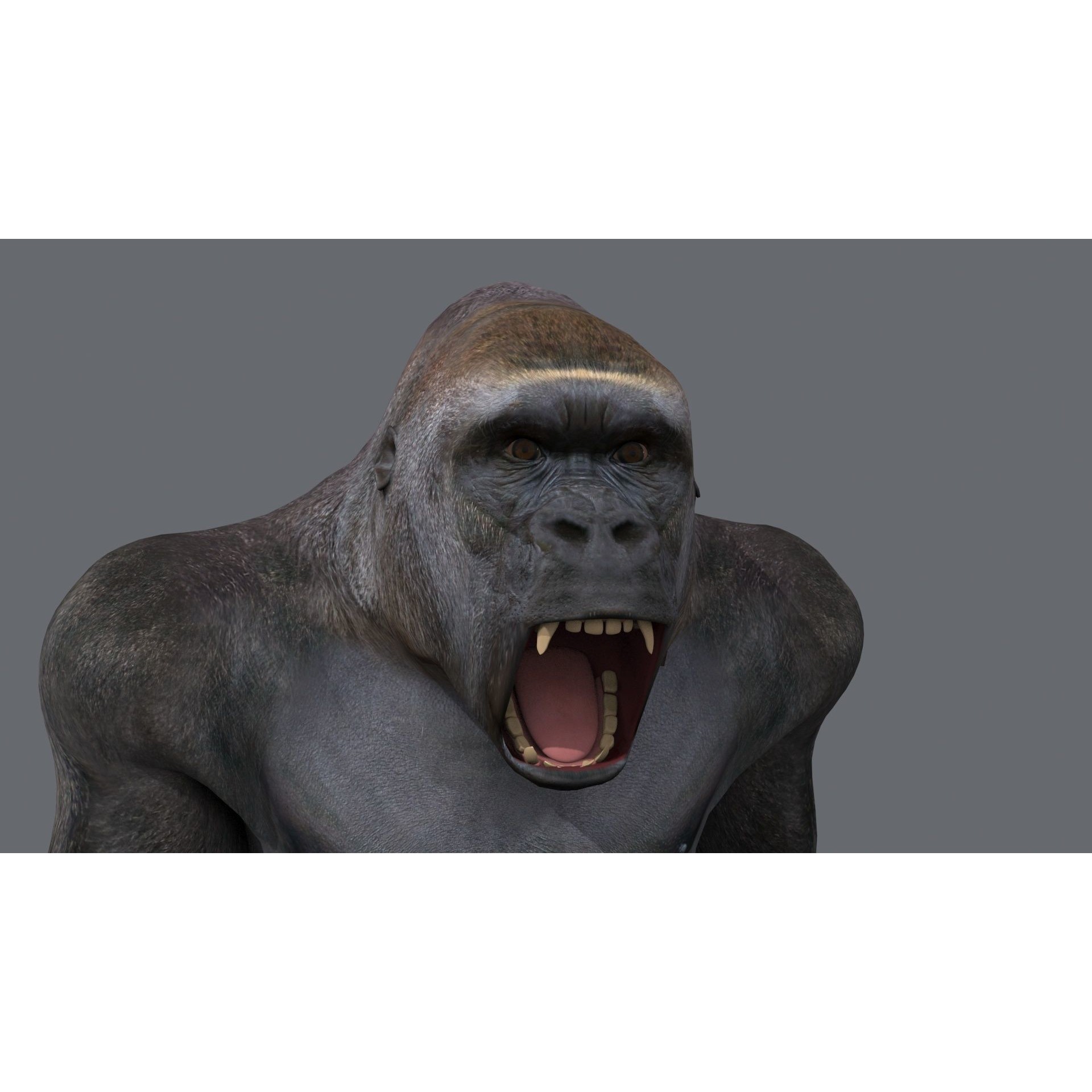 Colossal Animal Pack - Low-Poly Game-Ready 3D Model - View 118