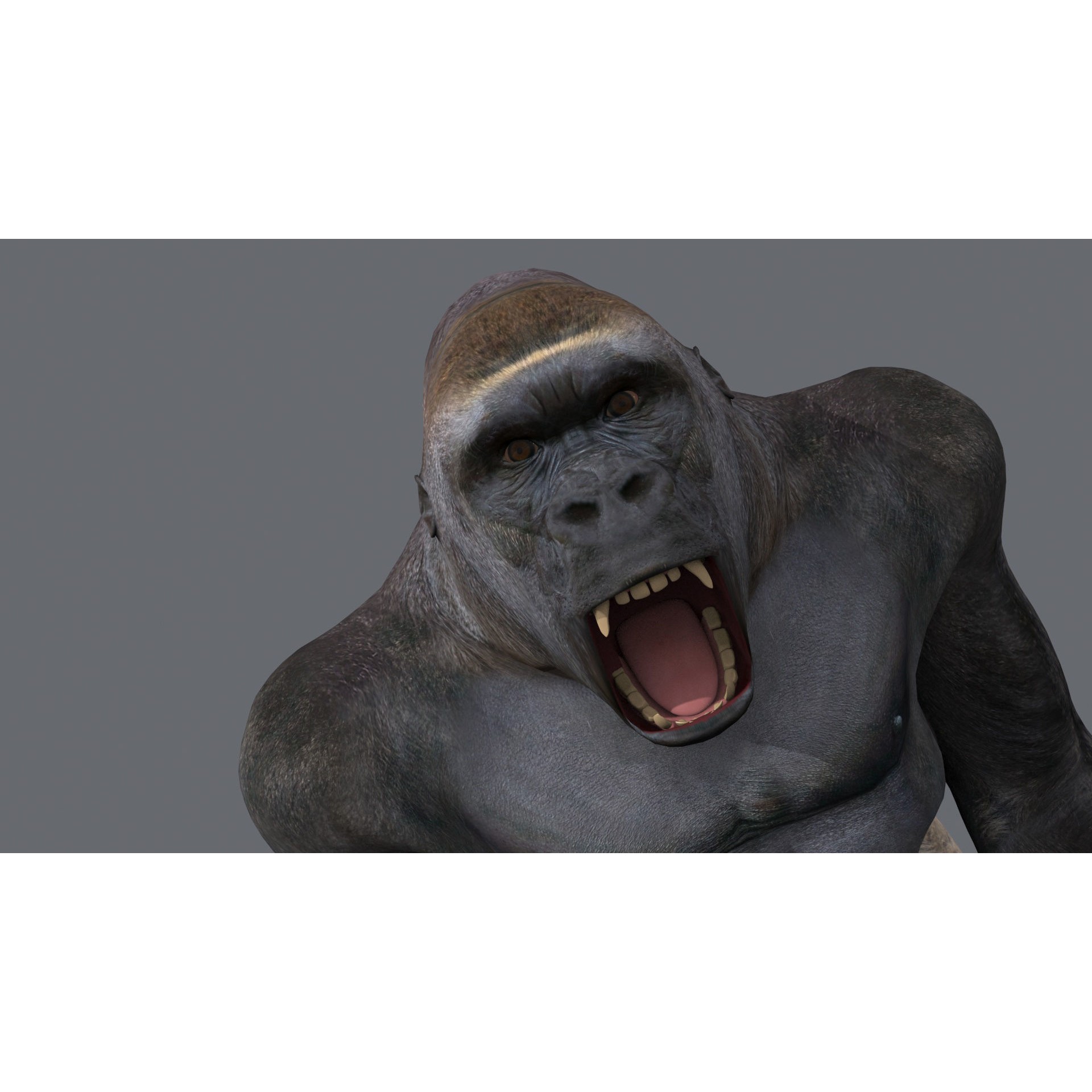 Colossal Animal Pack - Low-Poly Game-Ready 3D Model - View 119