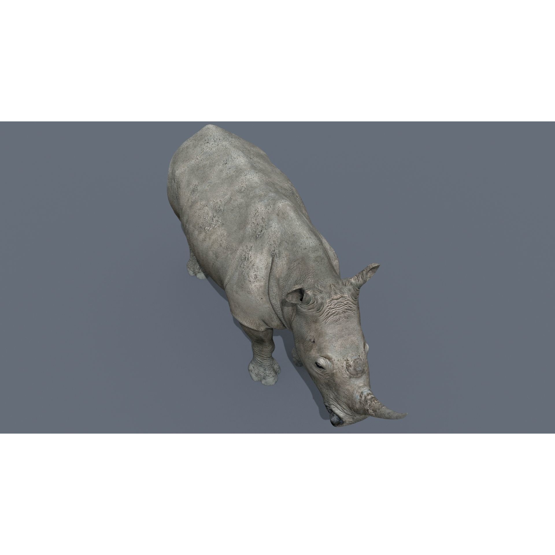 Colossal Animal Pack - Low-Poly Game-Ready 3D Model - View 12