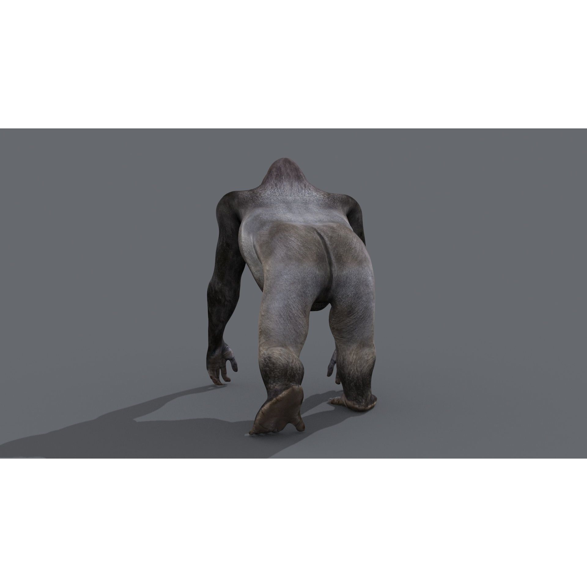 Colossal Animal Pack - Low-Poly Game-Ready 3D Model - View 120
