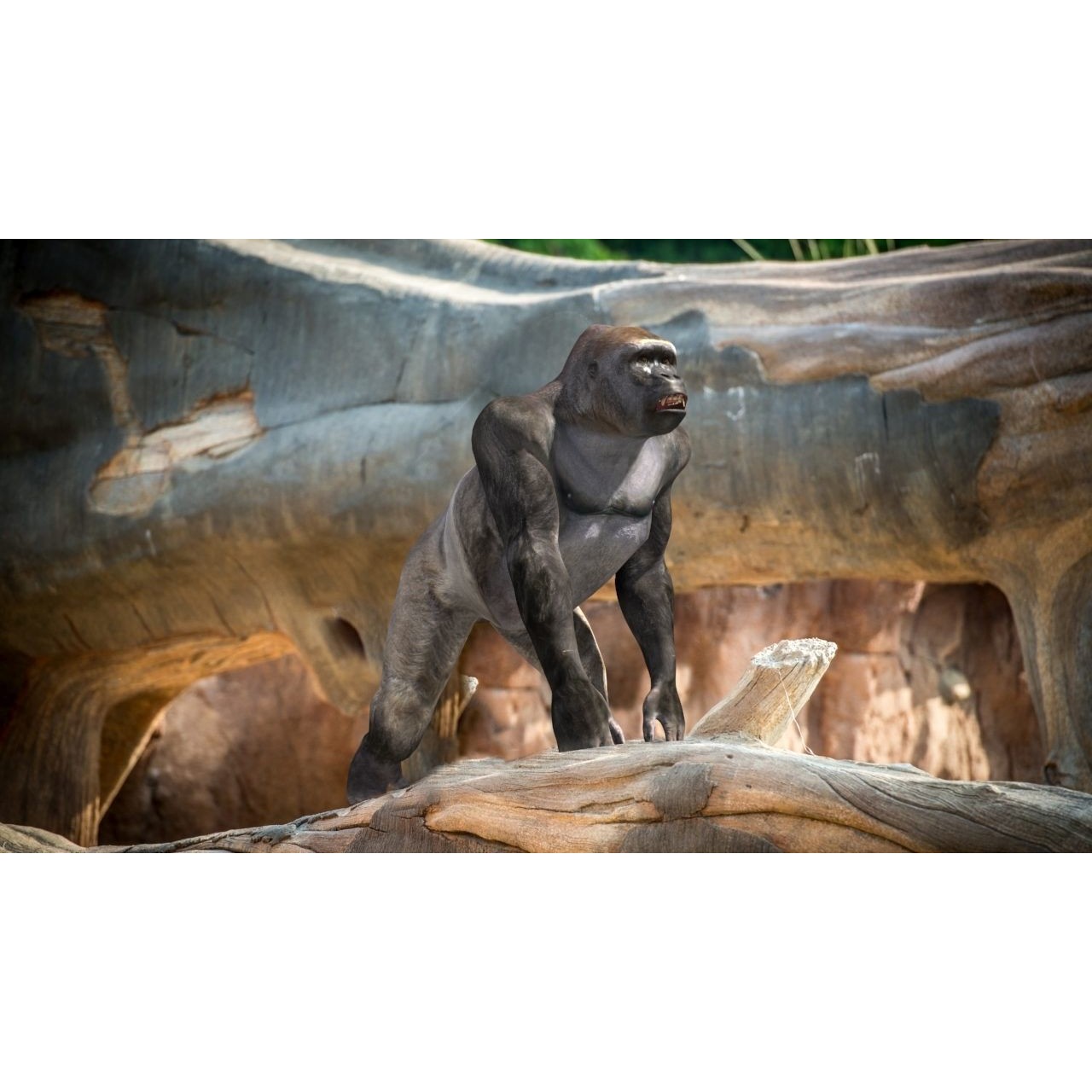 Colossal Animal Pack - Low-Poly Game-Ready 3D Model - View 126