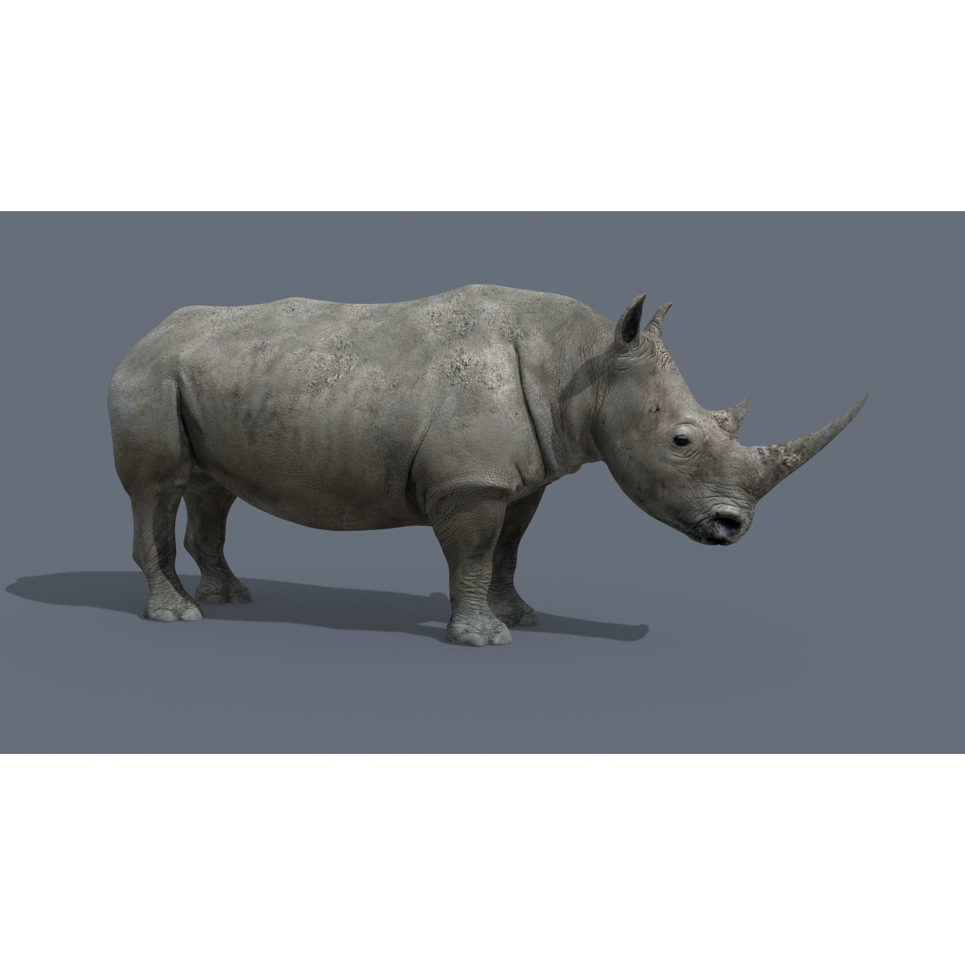 Colossal Animal Pack - Low-Poly Game-Ready 3D Model - View 14