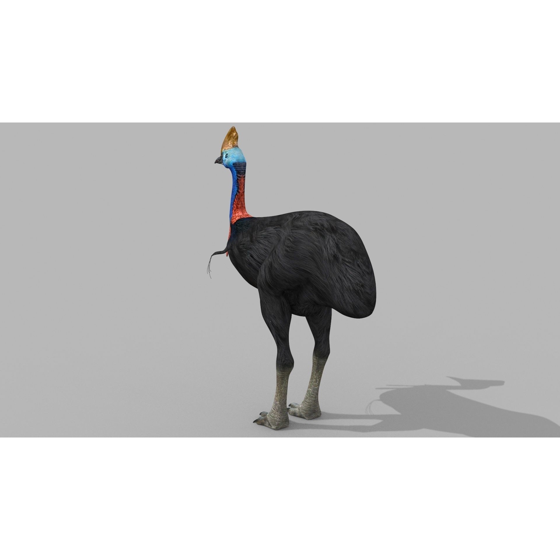 Colossal Animal Pack - Low-Poly Game-Ready 3D Model - View 140