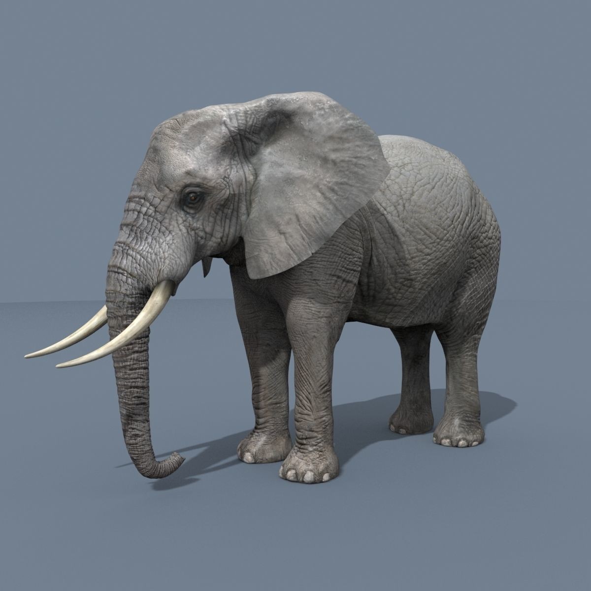 Colossal Animal Pack - Low-Poly Game-Ready 3D Model - View 16