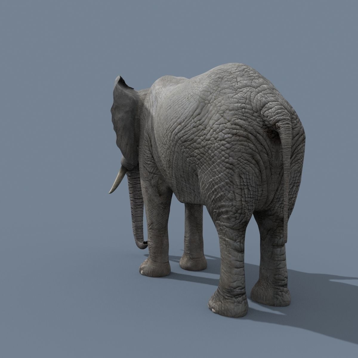 Colossal Animal Pack - Low-Poly Game-Ready 3D Model - View 18