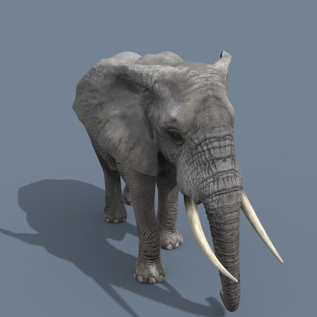 Colossal Animal Pack - Low-Poly Game-Ready 3D Model - View 19