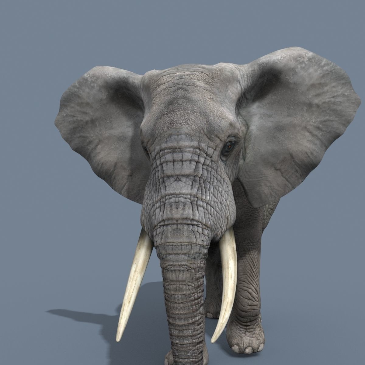 Colossal Animal Pack - Low-Poly Game-Ready 3D Model - View 20