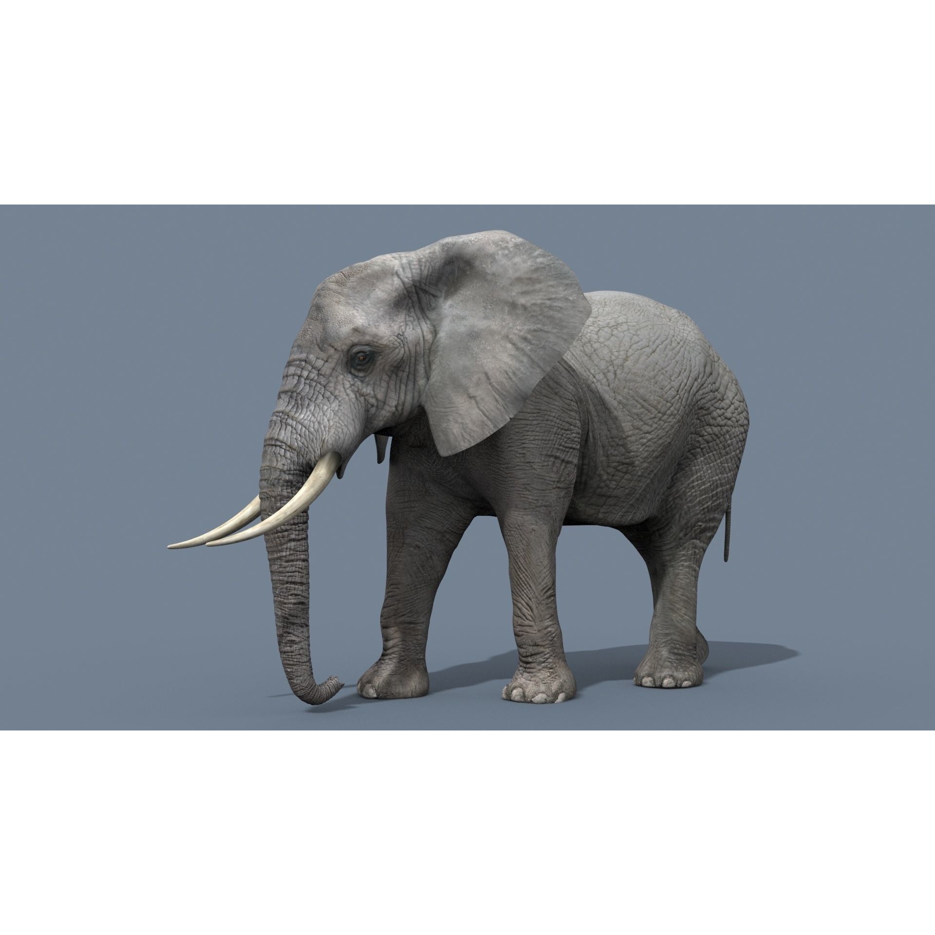 Colossal Animal Pack - Low-Poly Game-Ready 3D Model - View 21