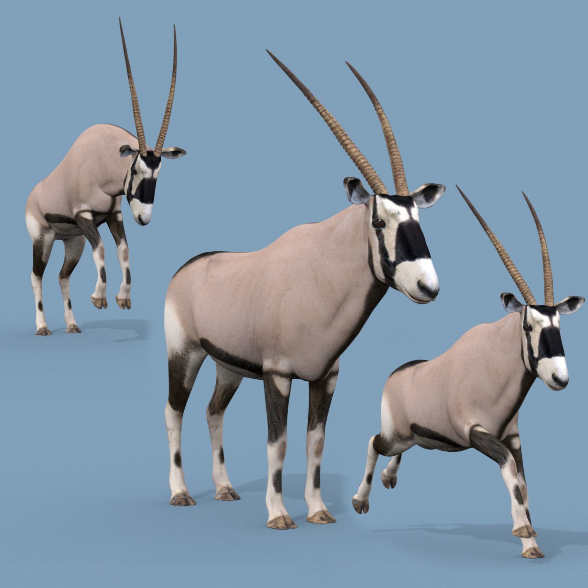 Colossal Animal Pack - Low-Poly Game-Ready 3D Model - View 3