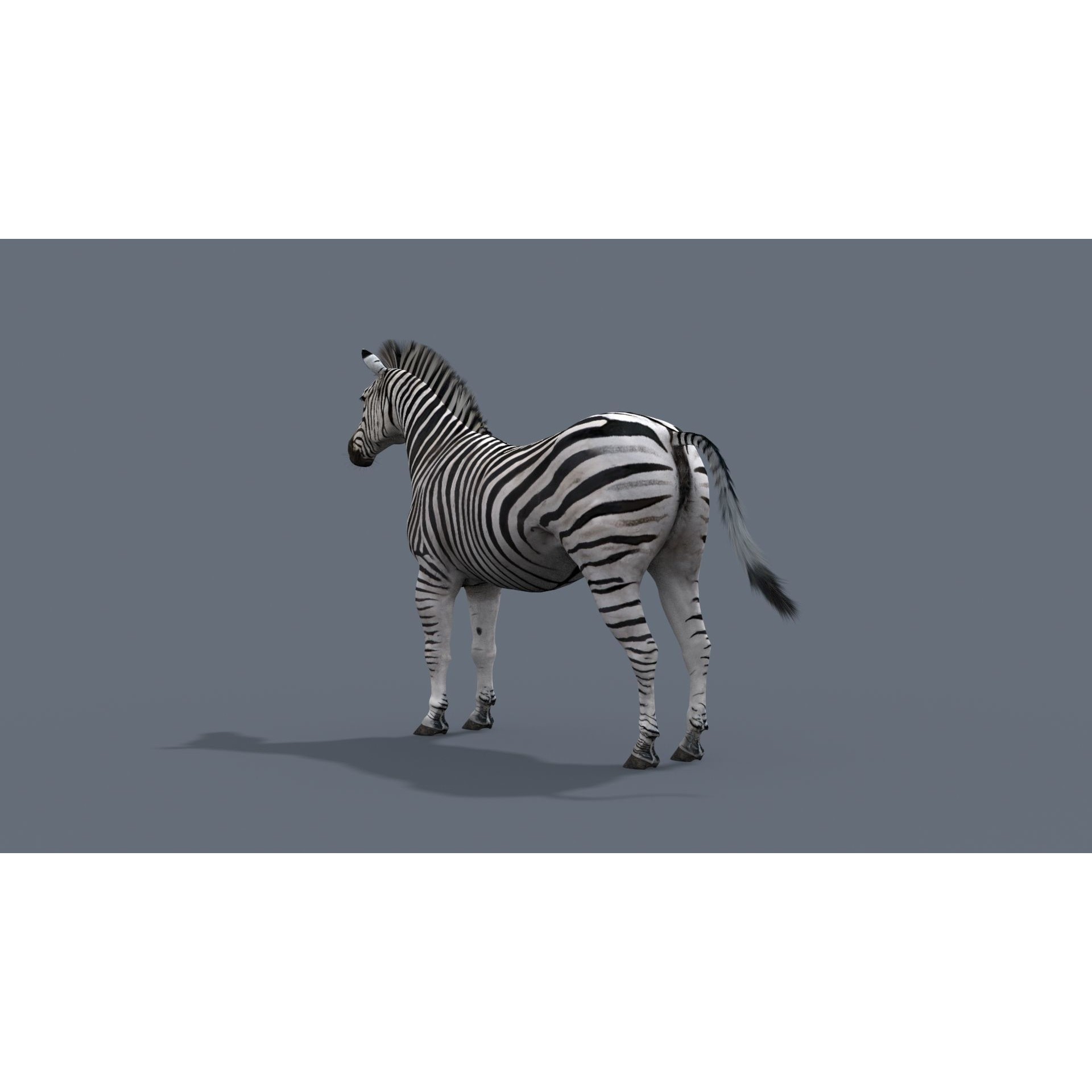 Colossal Animal Pack - Low-Poly Game-Ready 3D Model - View 32