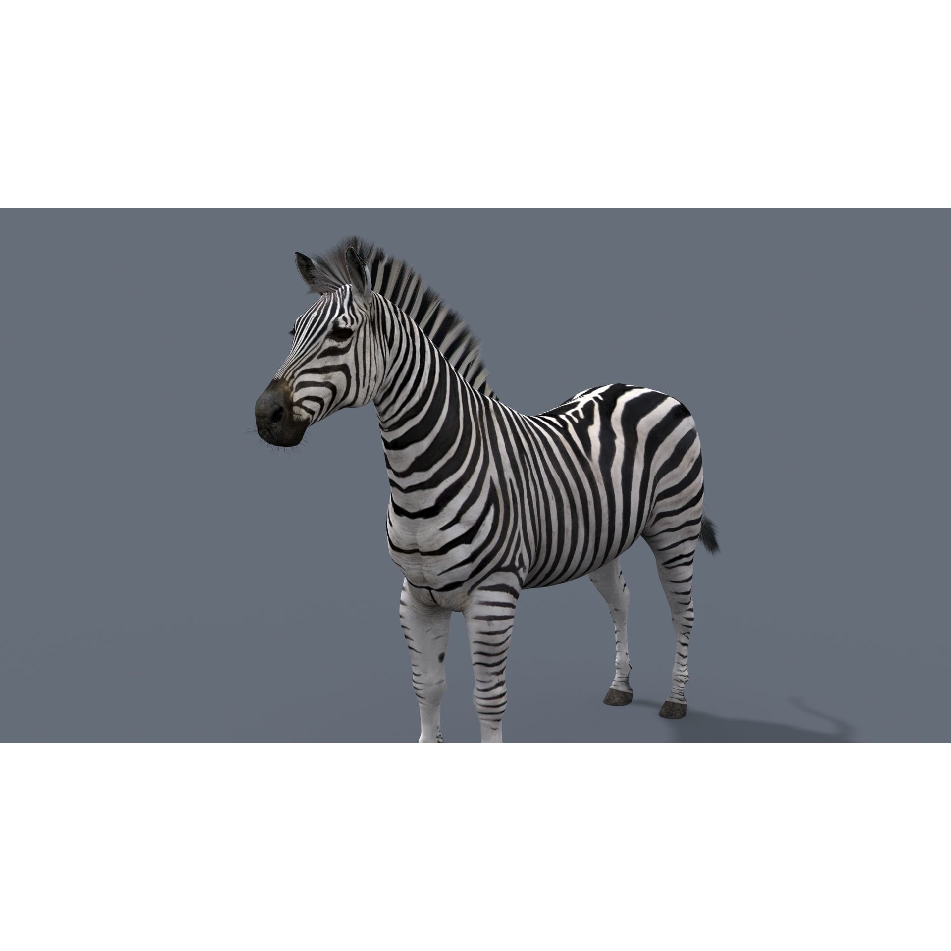 Colossal Animal Pack - Low-Poly Game-Ready 3D Model - View 33