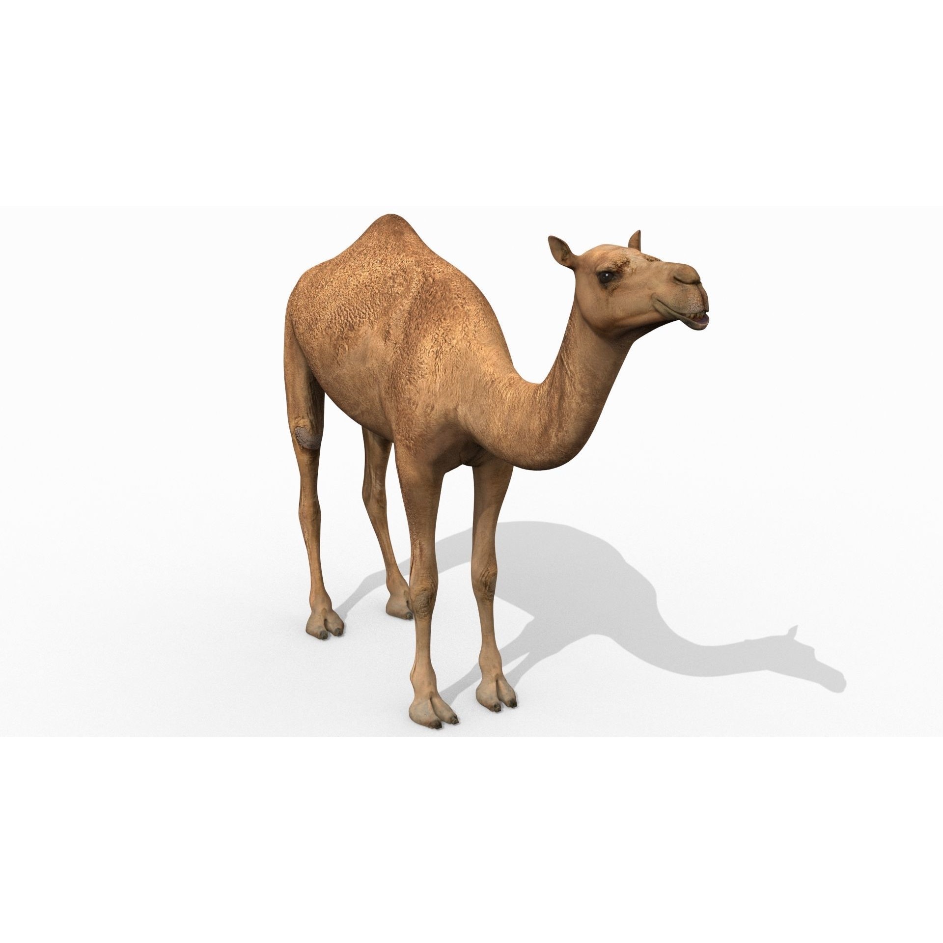 Colossal Animal Pack - Low-Poly Game-Ready 3D Model - View 37