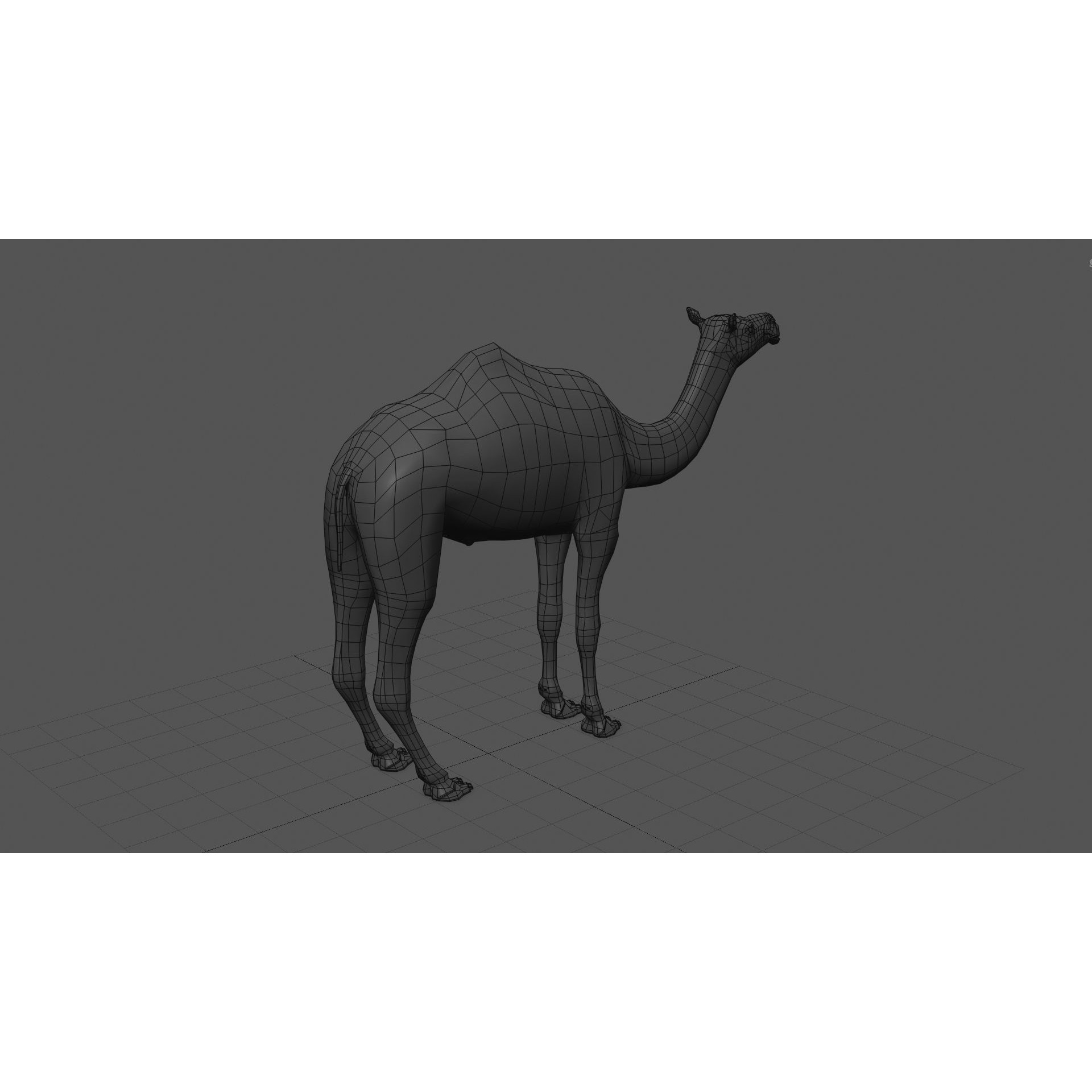 Colossal Animal Pack - Low-Poly Game-Ready 3D Model - View 41