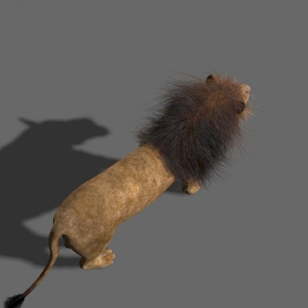 Colossal Animal Pack - Low-Poly Game-Ready 3D Model - View 45
