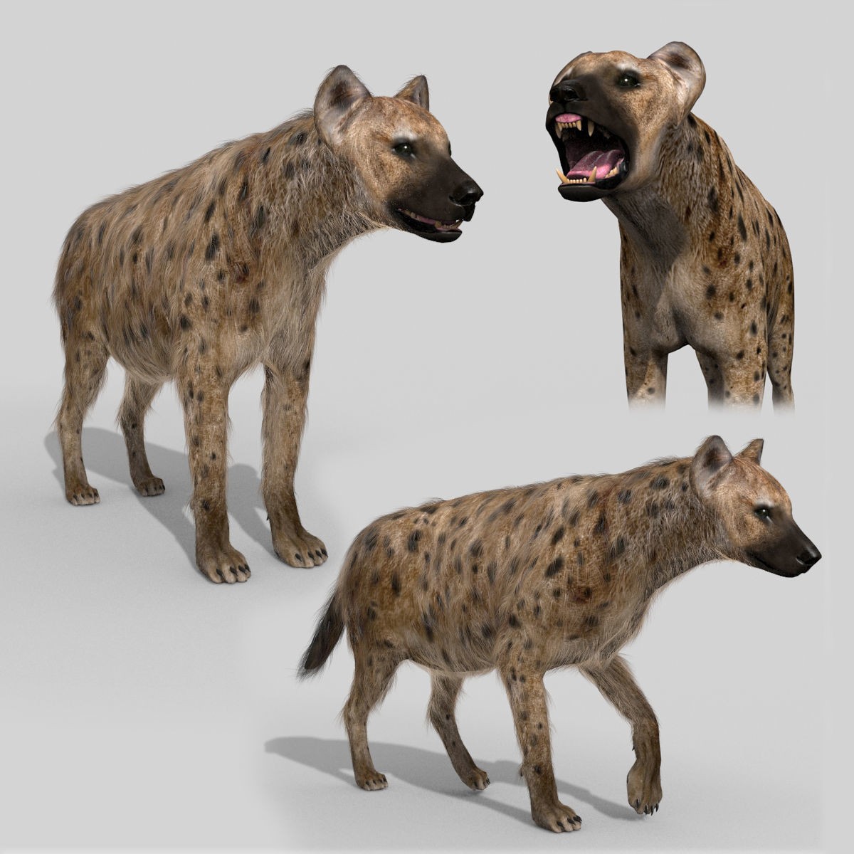 Colossal Animal Pack - Low-Poly Game-Ready 3D Model - View 57