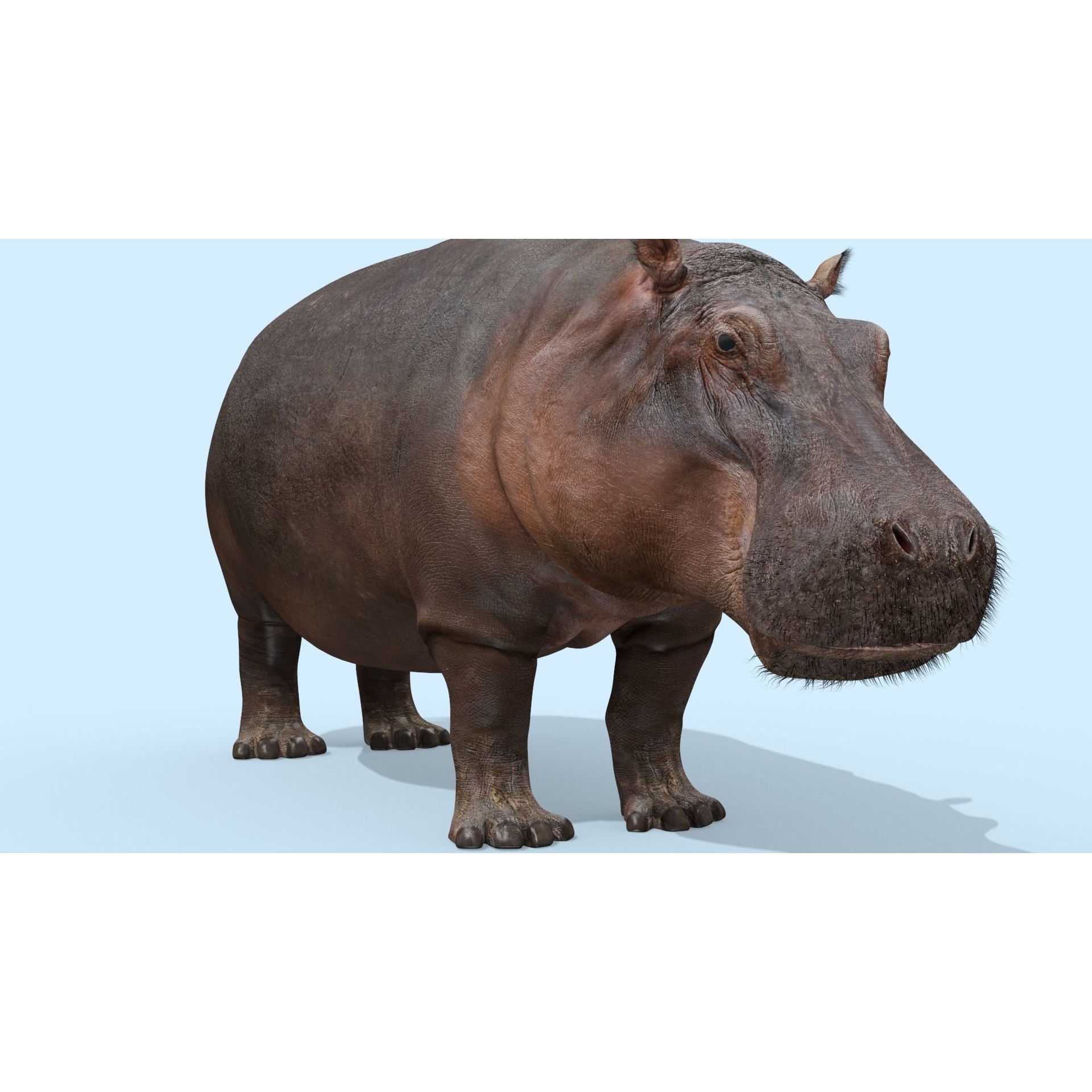 Colossal Animal Pack - Low-Poly Game-Ready 3D Model - View 6