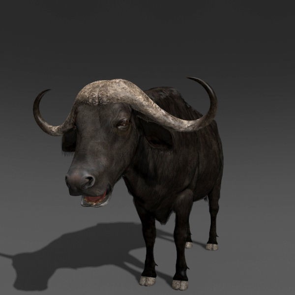 Colossal Animal Pack - Low-Poly Game-Ready 3D Model - View 62