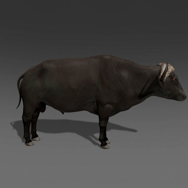 Colossal Animal Pack - Low-Poly Game-Ready 3D Model - View 63